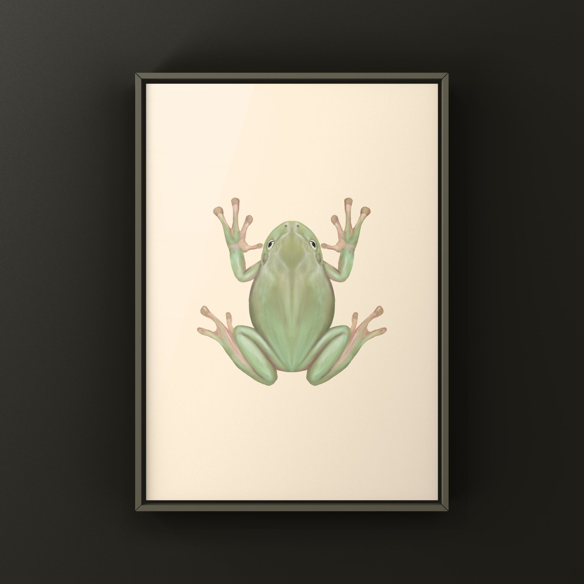 White’s Tree Frog Art Print (Ranoidea caerulea) from The Silk Ranch