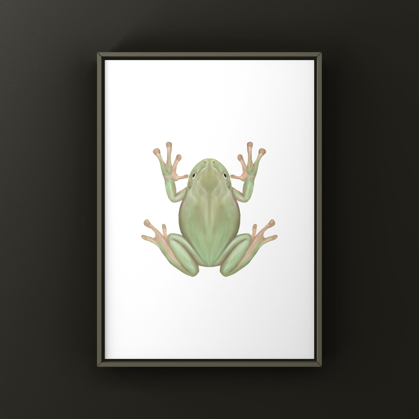 White’s Tree Frog Art Print (Ranoidea caerulea) from The Silk Ranch