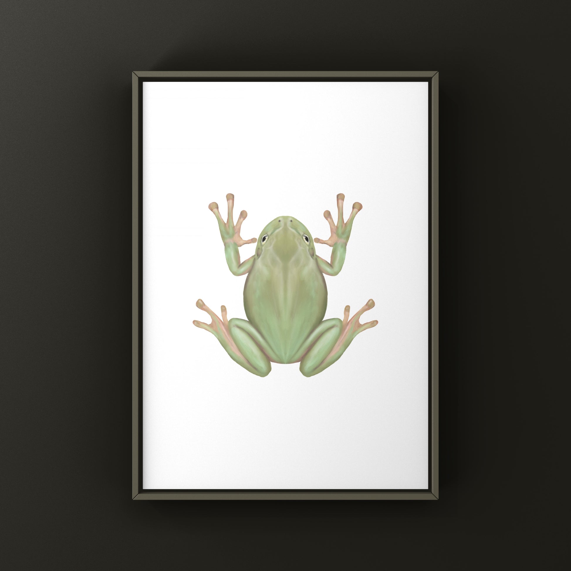 White’s Tree Frog Art Print (Ranoidea caerulea) from The Silk Ranch