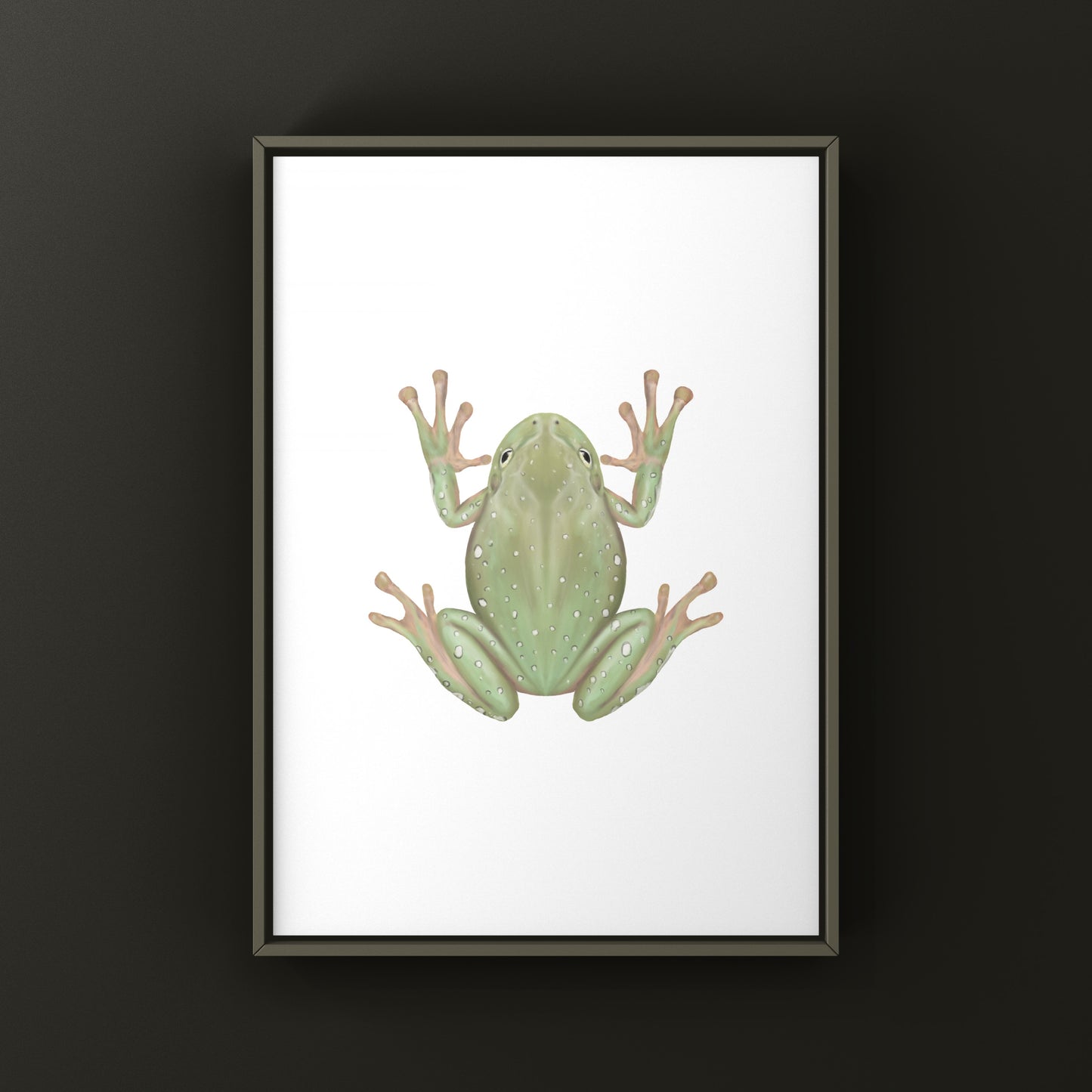 Snowflake White’s Tree Frog Art Print (Ranoidea caerulea) from The Silk Ranch