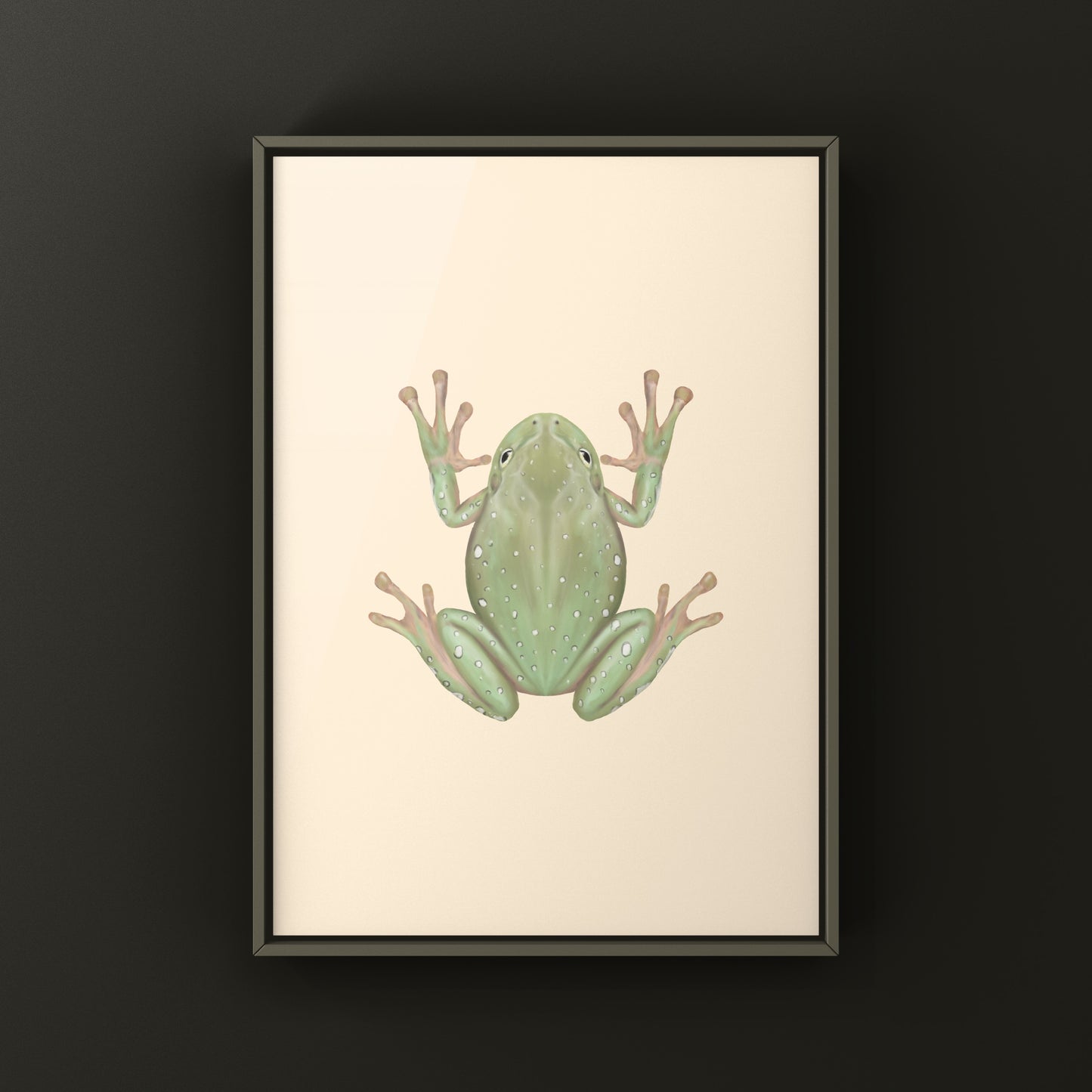 Snowflake White’s Tree Frog Art Print (Ranoidea caerulea) from The Silk Ranch