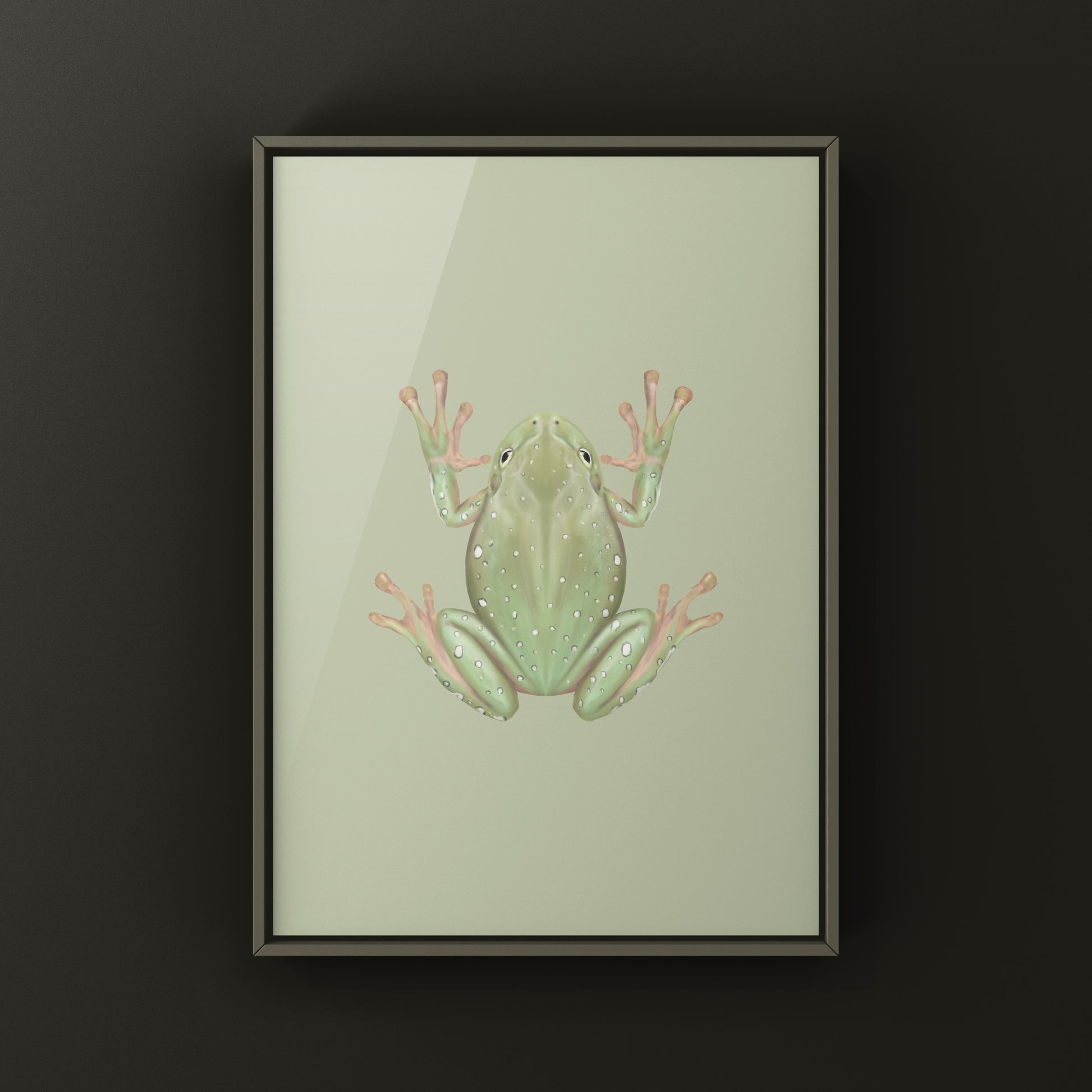 Snowflake White’s Tree Frog Art Print (Ranoidea caerulea) from The Silk Ranch