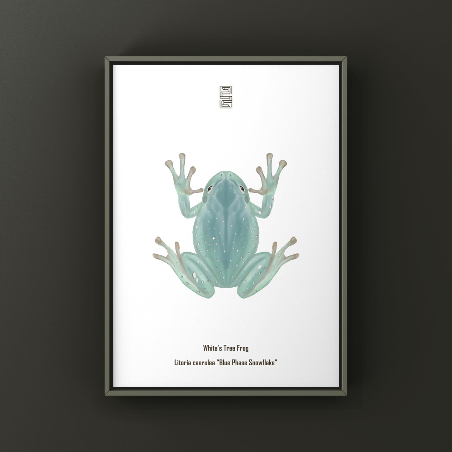 Blue Phase Snowflake White’s Tree Frog Art Print (Ranoidea caerulea) from The Silk Ranch