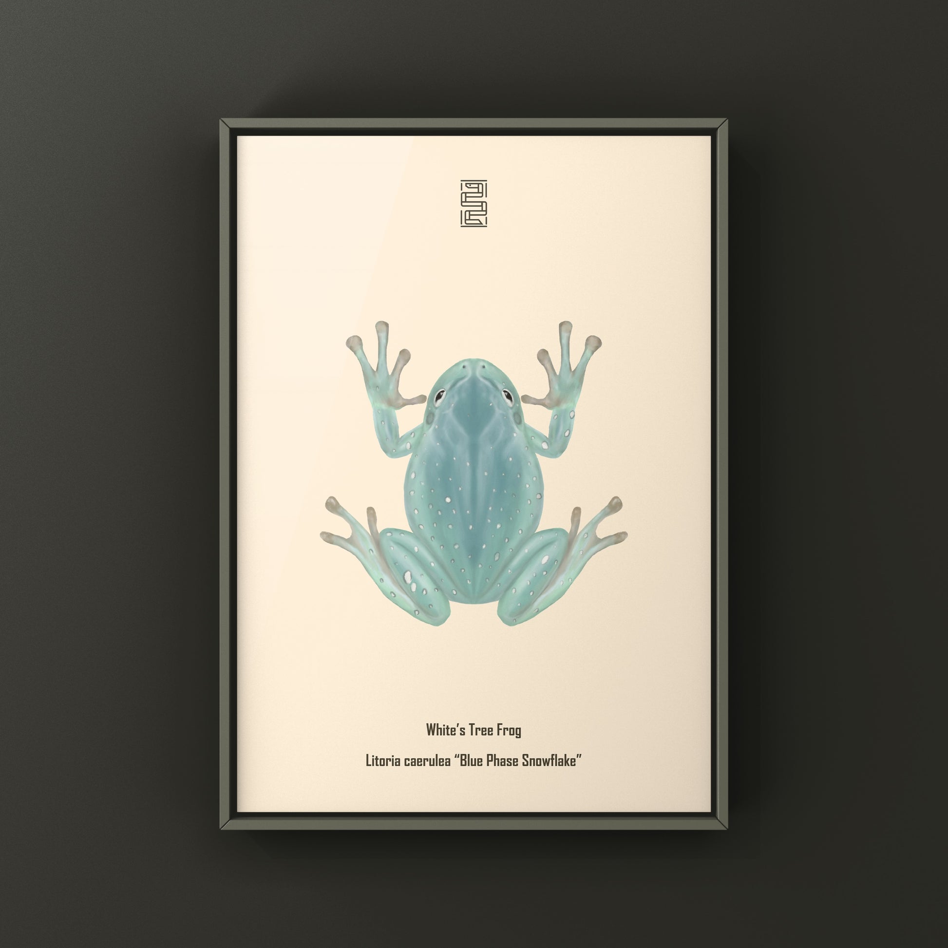 Blue Phase Snowflake White’s Tree Frog Art Print (Ranoidea caerulea) from The Silk Ranch