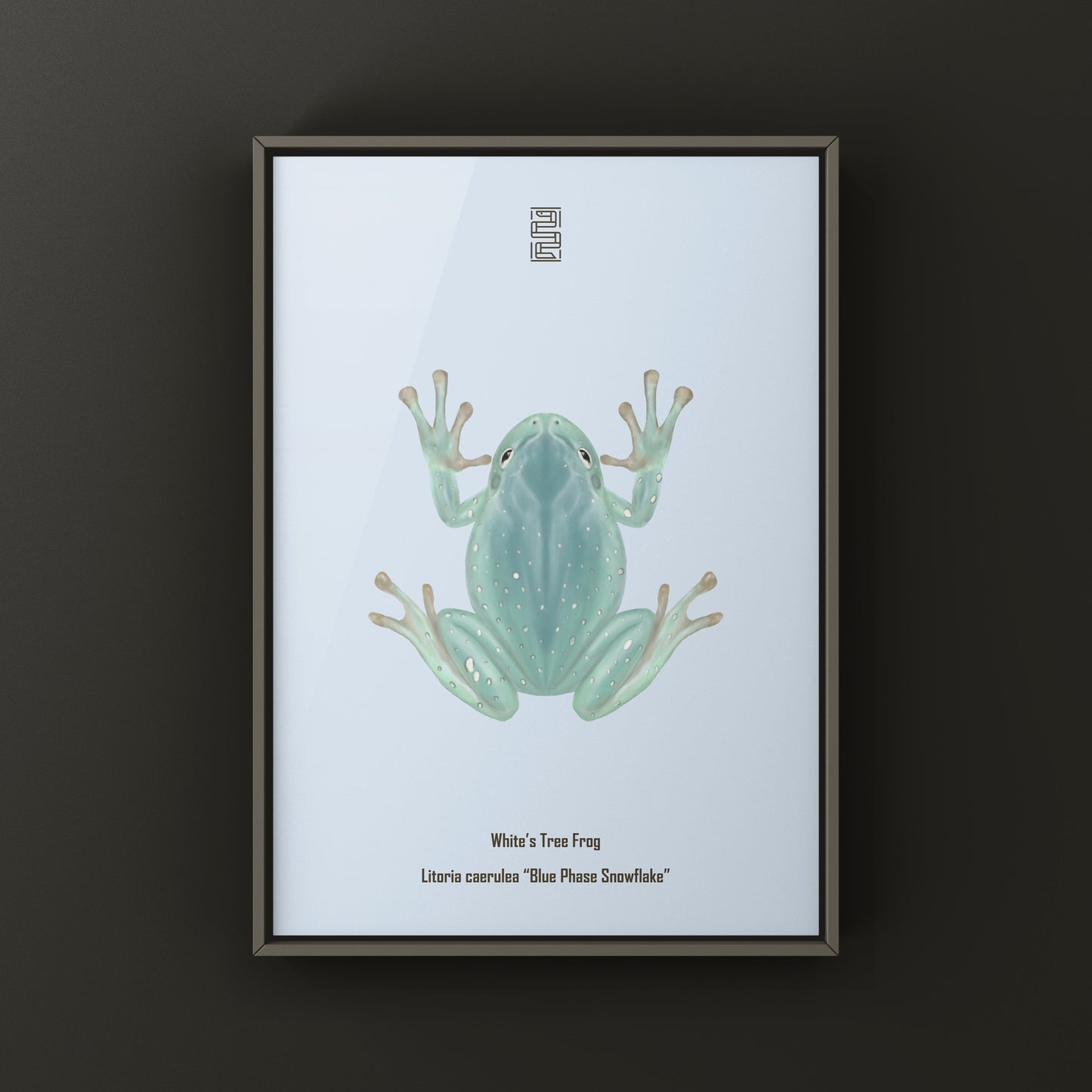 Blue Phase Snowflake White’s Tree Frog Art Print (Ranoidea caerulea) from The Silk Ranch
