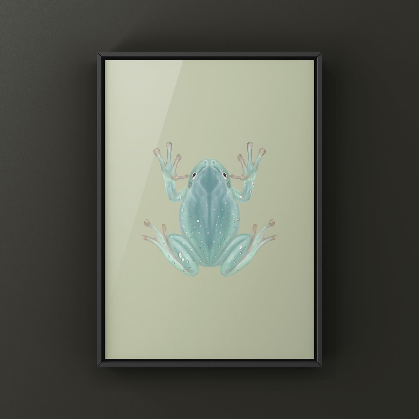 Blue Phase Snowflake White’s Tree Frog Art Print (Ranoidea caerulea) from The Silk Ranch