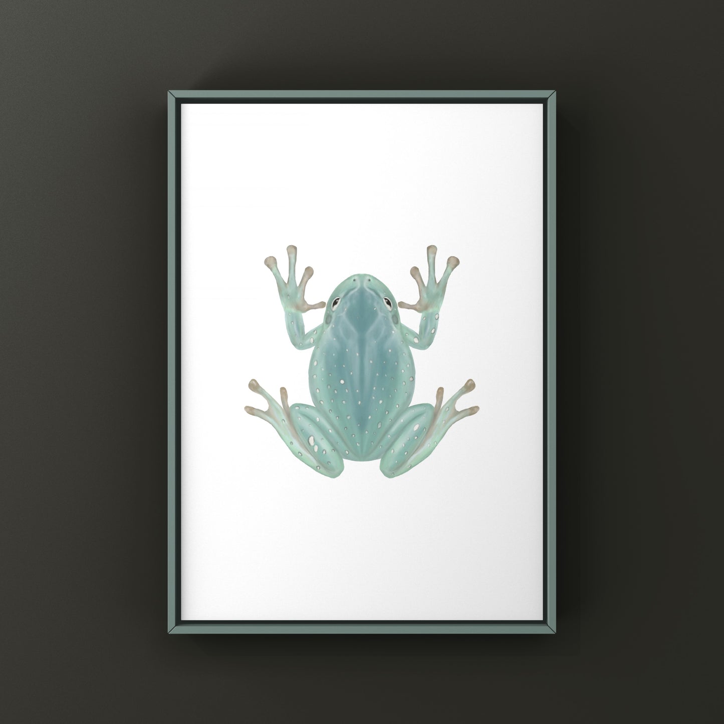 Blue Phase Snowflake White’s Tree Frog Art Print (Ranoidea caerulea) from The Silk Ranch