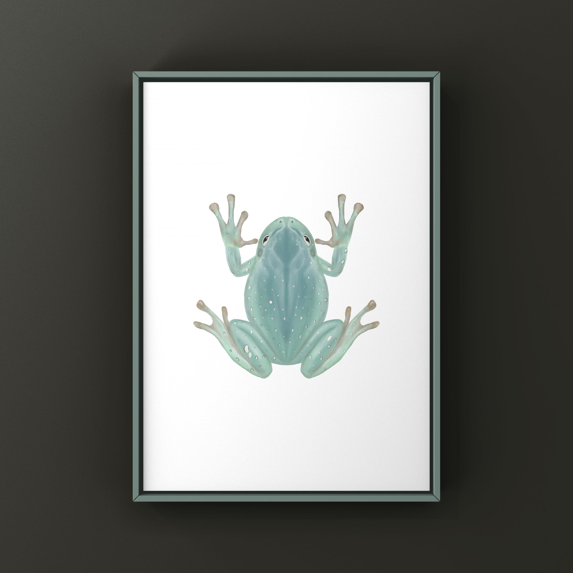 Blue Phase Snowflake White’s Tree Frog Art Print (Ranoidea caerulea) from The Silk Ranch