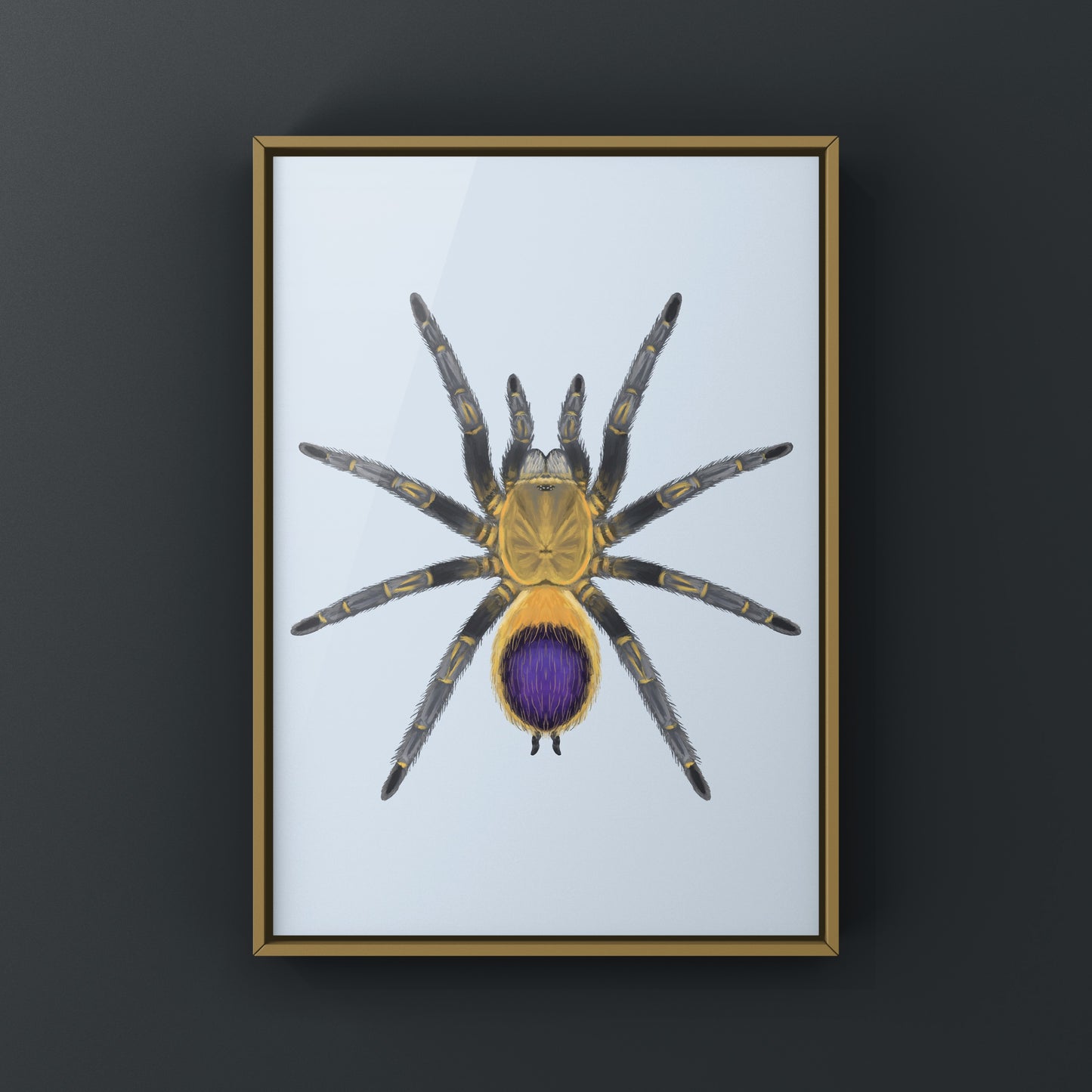 Colombian purple and gold tarantula art print by The Silk Ranch featuring detailed spider illustration on white background.