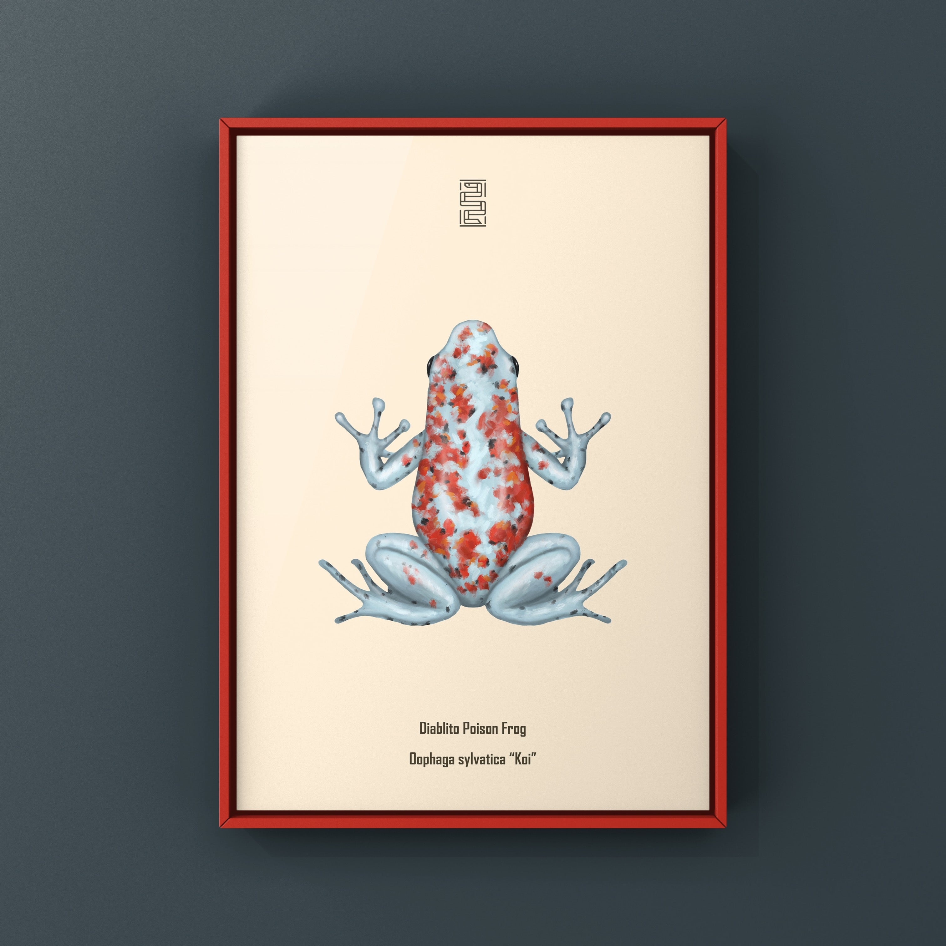 Ankas Anthony's Poison Arrow Frog Art Print (Epipedobates anthonyi