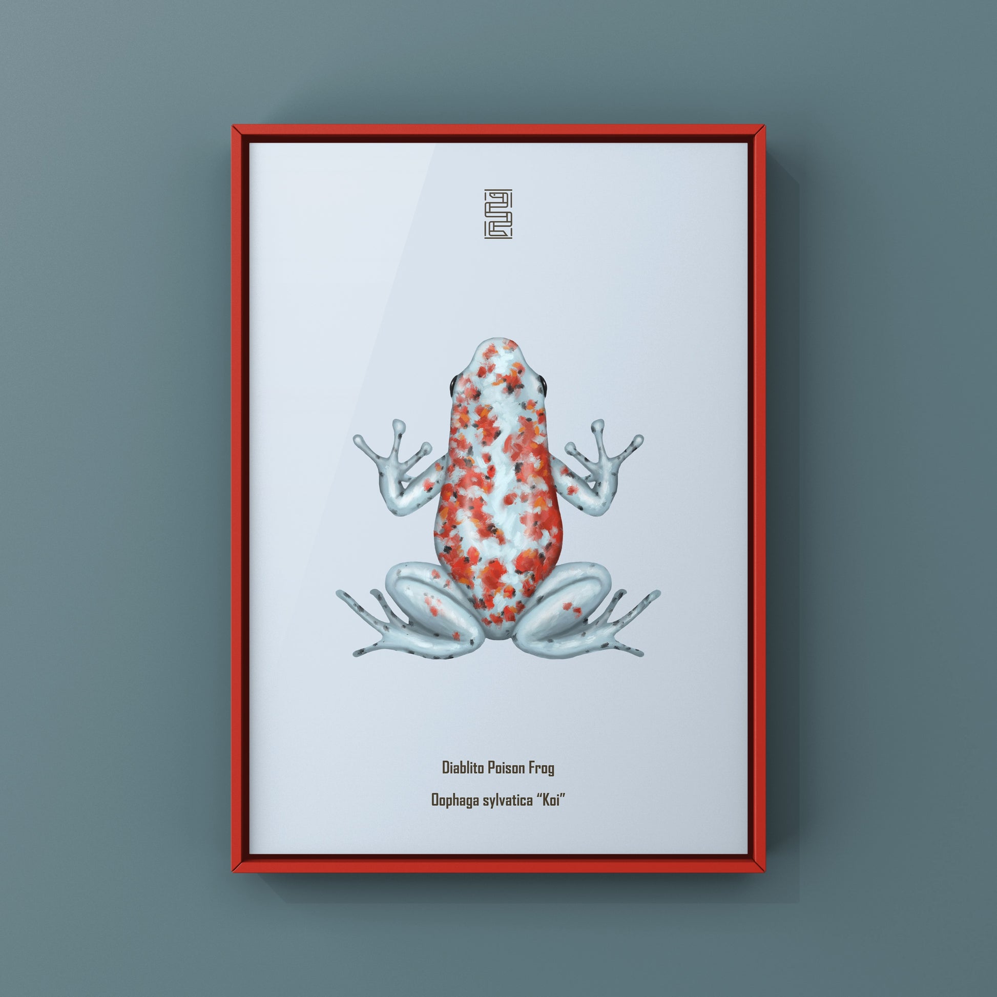 Diablito Poison Frog Art Print (Oophaga sylvatica "Koi") from The Silk Ranch