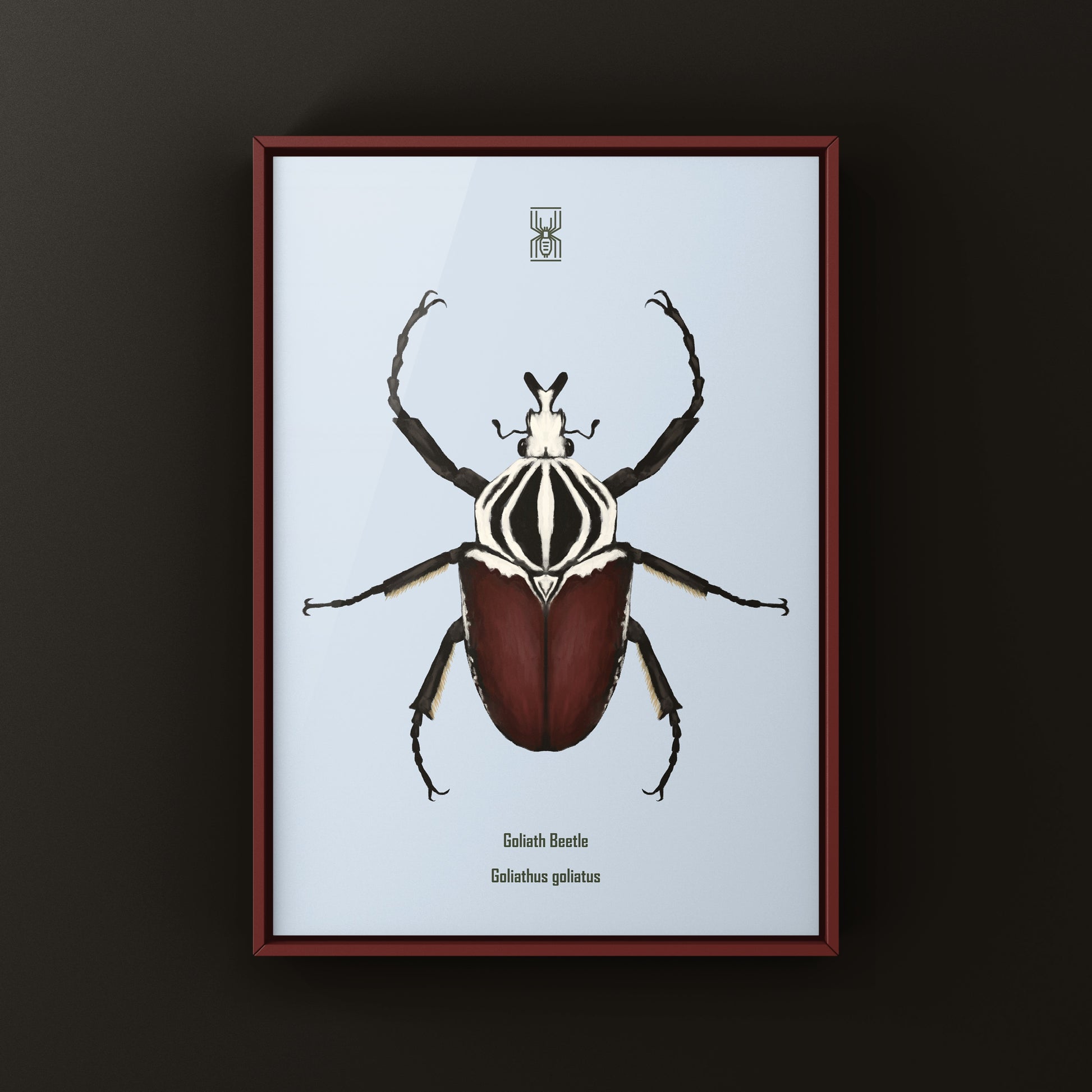 Goliath Beetle Art Print (Goliathus goliatus) from The Silk Ranch