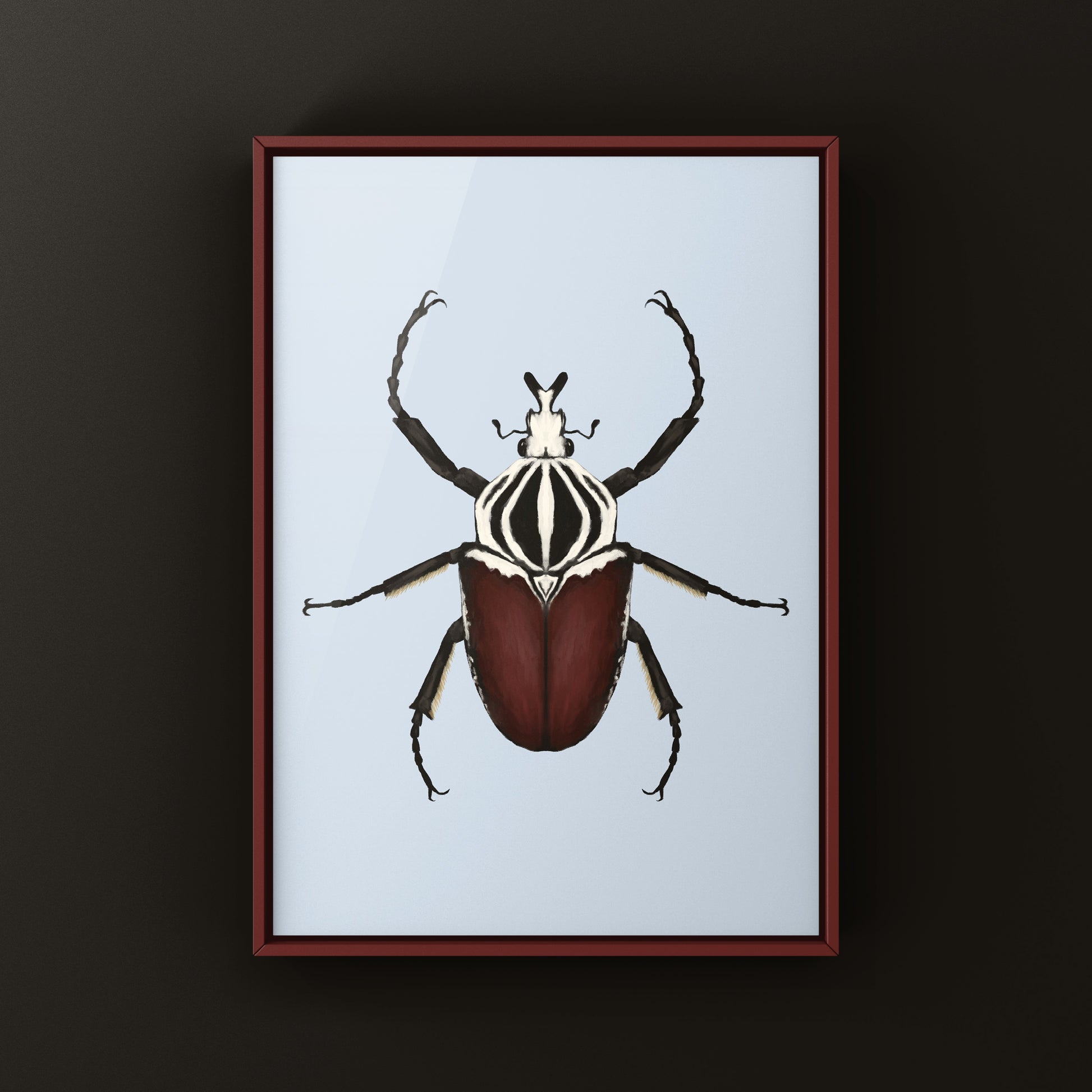 Goliath Beetle Art Print (Goliathus goliatus) from The Silk Ranch