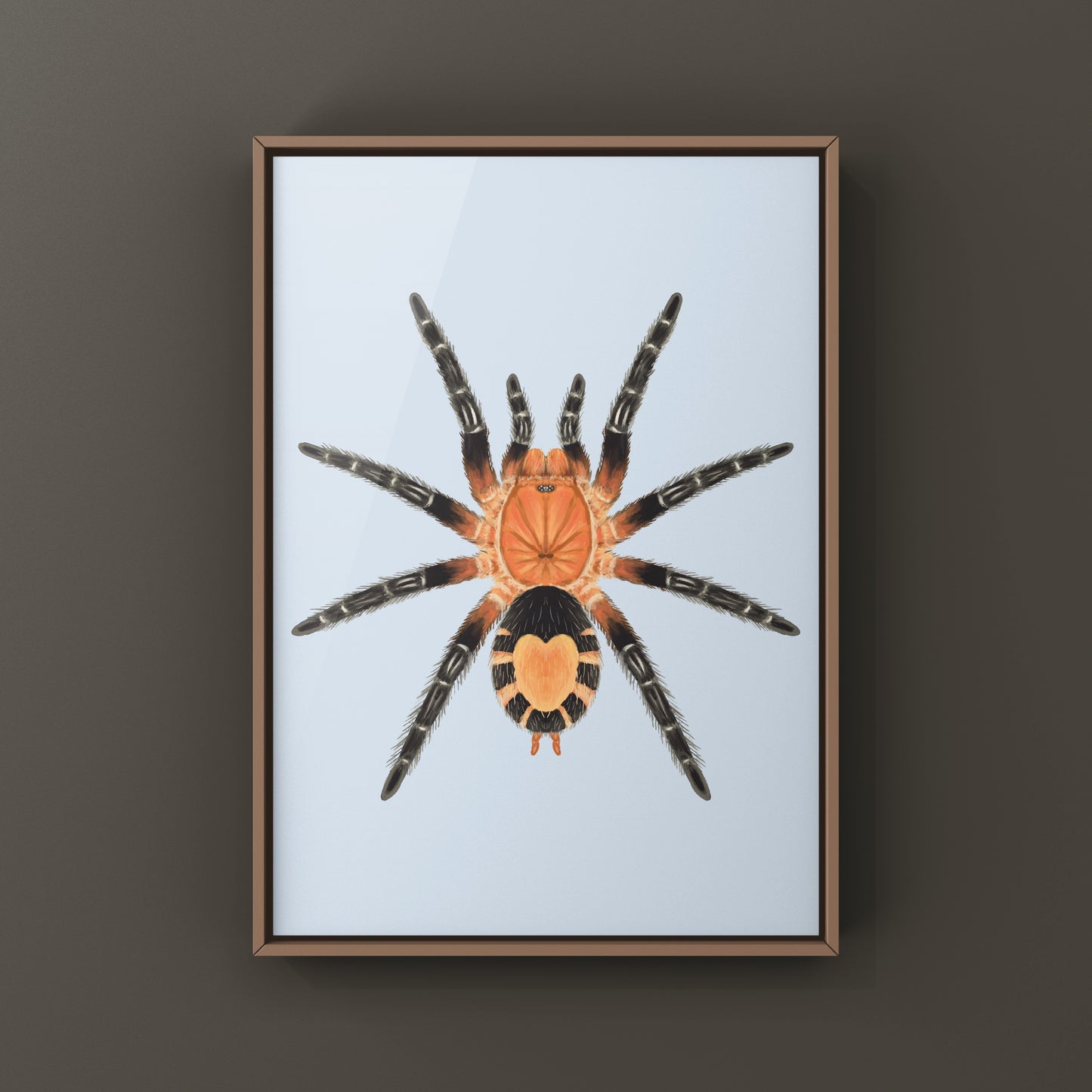 Bolivian Dwarf Beauty Tarantula art print featuring Cyriocosmus perezmilesi, showcasing detailed spider illustration by The Silk Ranch.