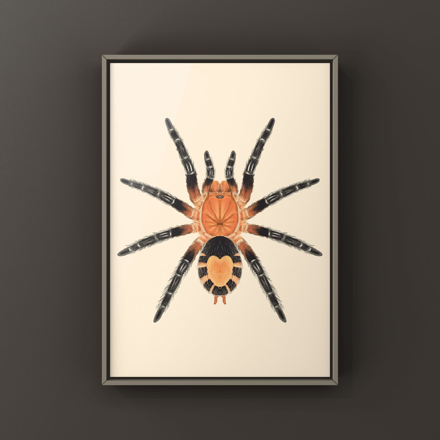 Bolivian Dwarf Beauty Tarantula Cyriocosmus perezmilesi art print by The Silk Ranch, featuring detailed spider illustration.