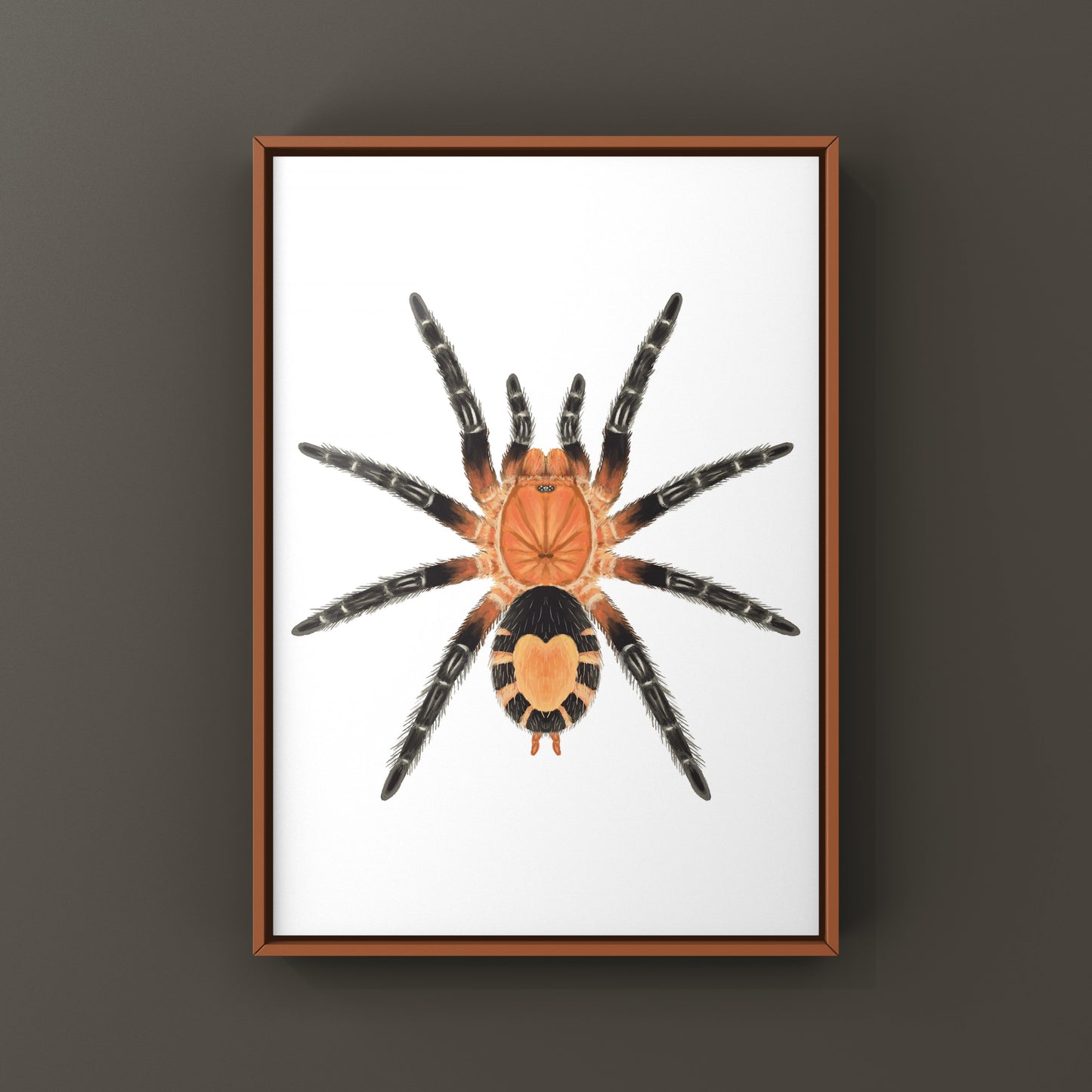 Bolivian Dwarf Beauty Tarantula art print featuring a Cyriocosmus perezmilesi spider on a textured background.