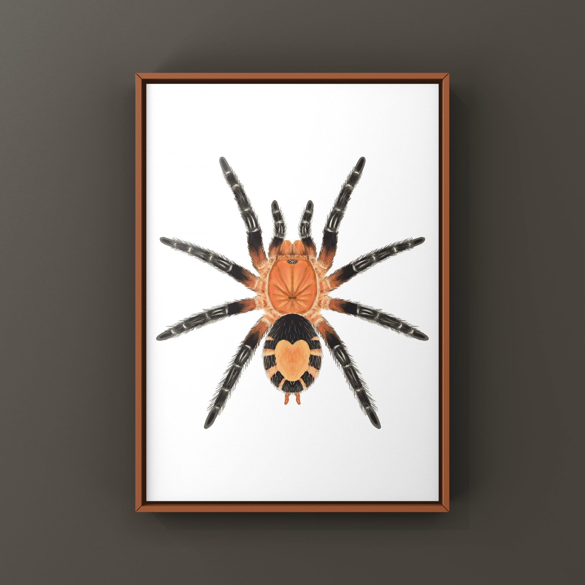 Bolivian Dwarf Beauty Tarantula art print featuring a Cyriocosmus perezmilesi spider on a textured background.