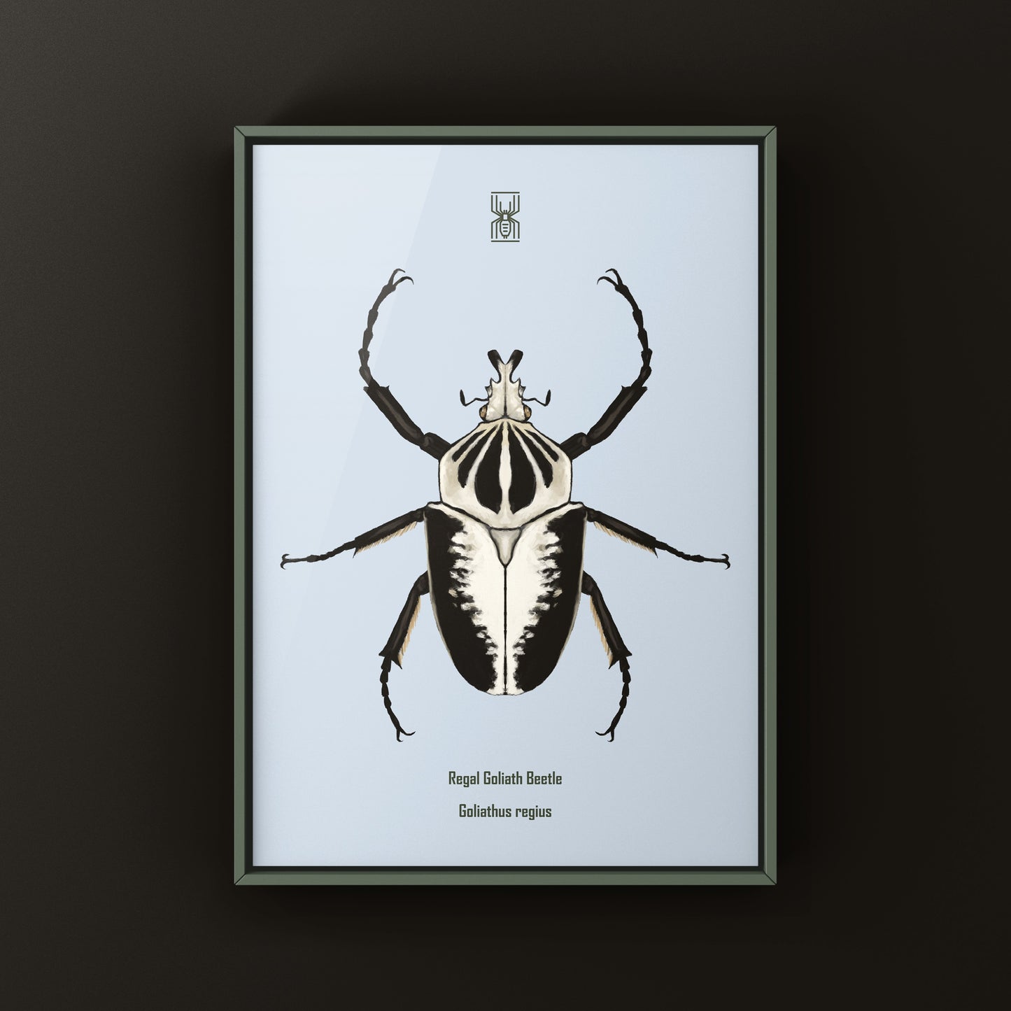 Regal Goliath Beetle Art Print (Goliathus regius) from The Silk Ranch