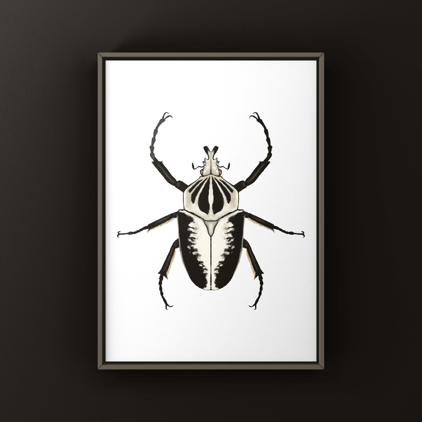 Regal Goliath Beetle Art Print (Goliathus regius) from The Silk Ranch