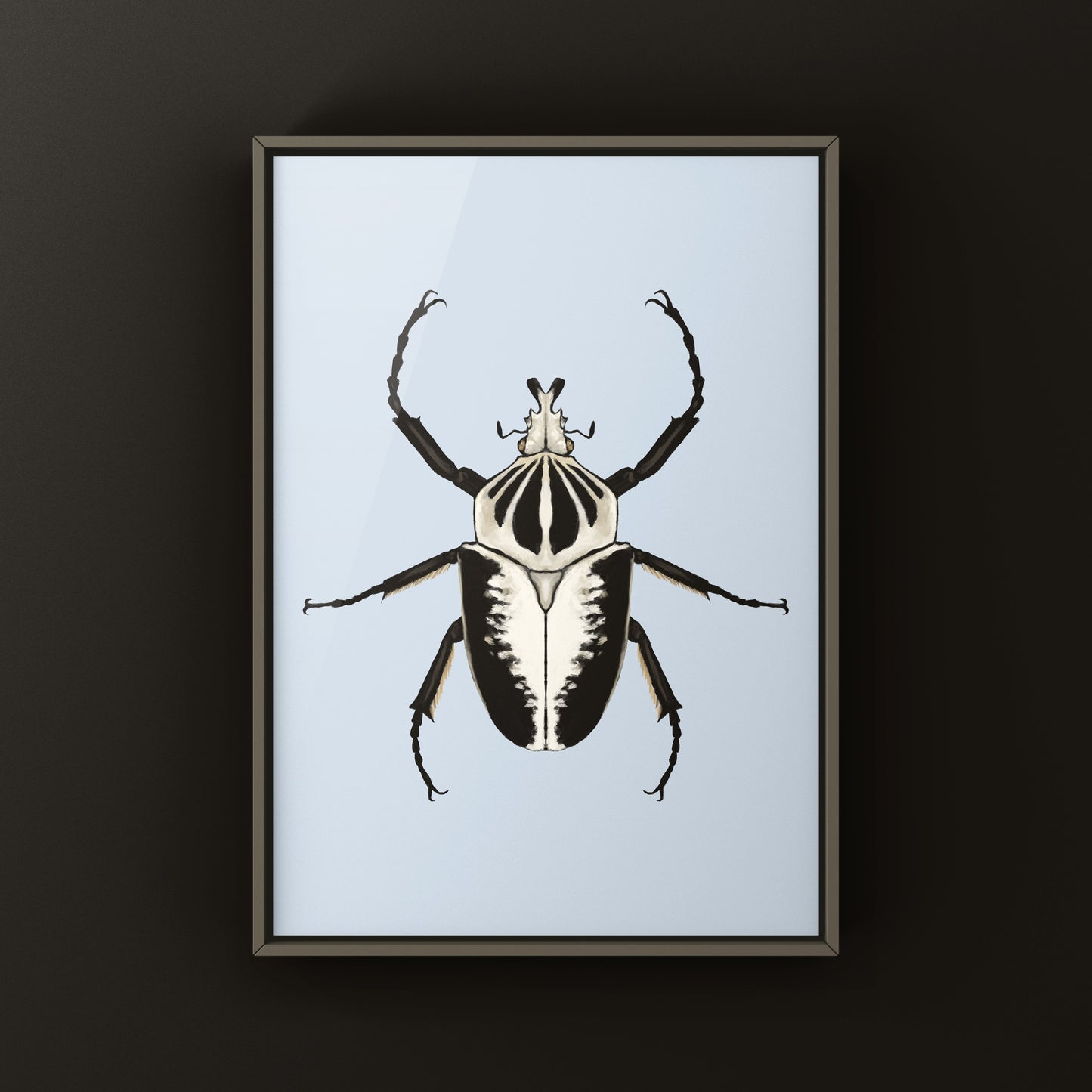 Regal Goliath Beetle Art Print (Goliathus regius) from The Silk Ranch
