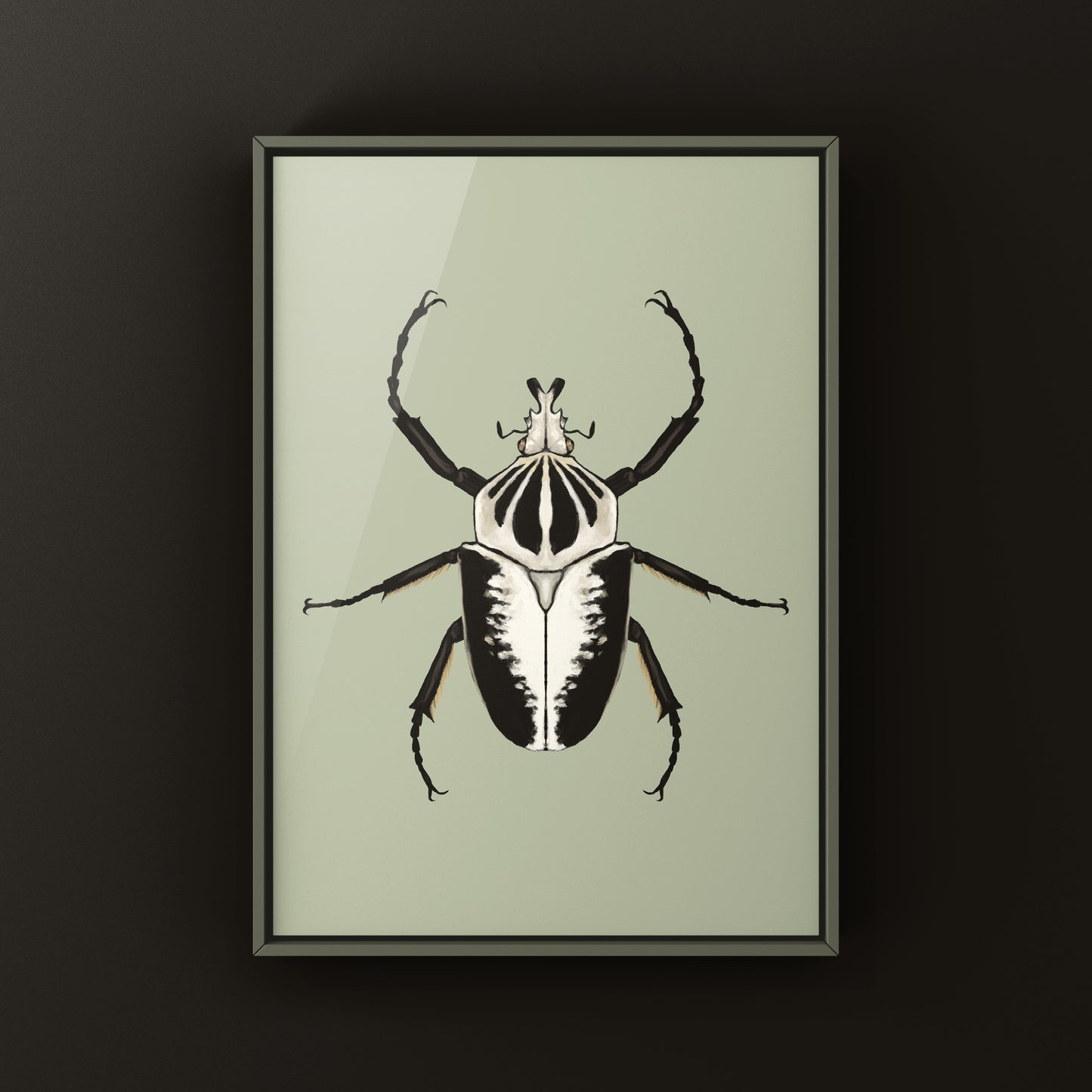 Regal Goliath Beetle Art Print (Goliathus regius) from The Silk Ranch