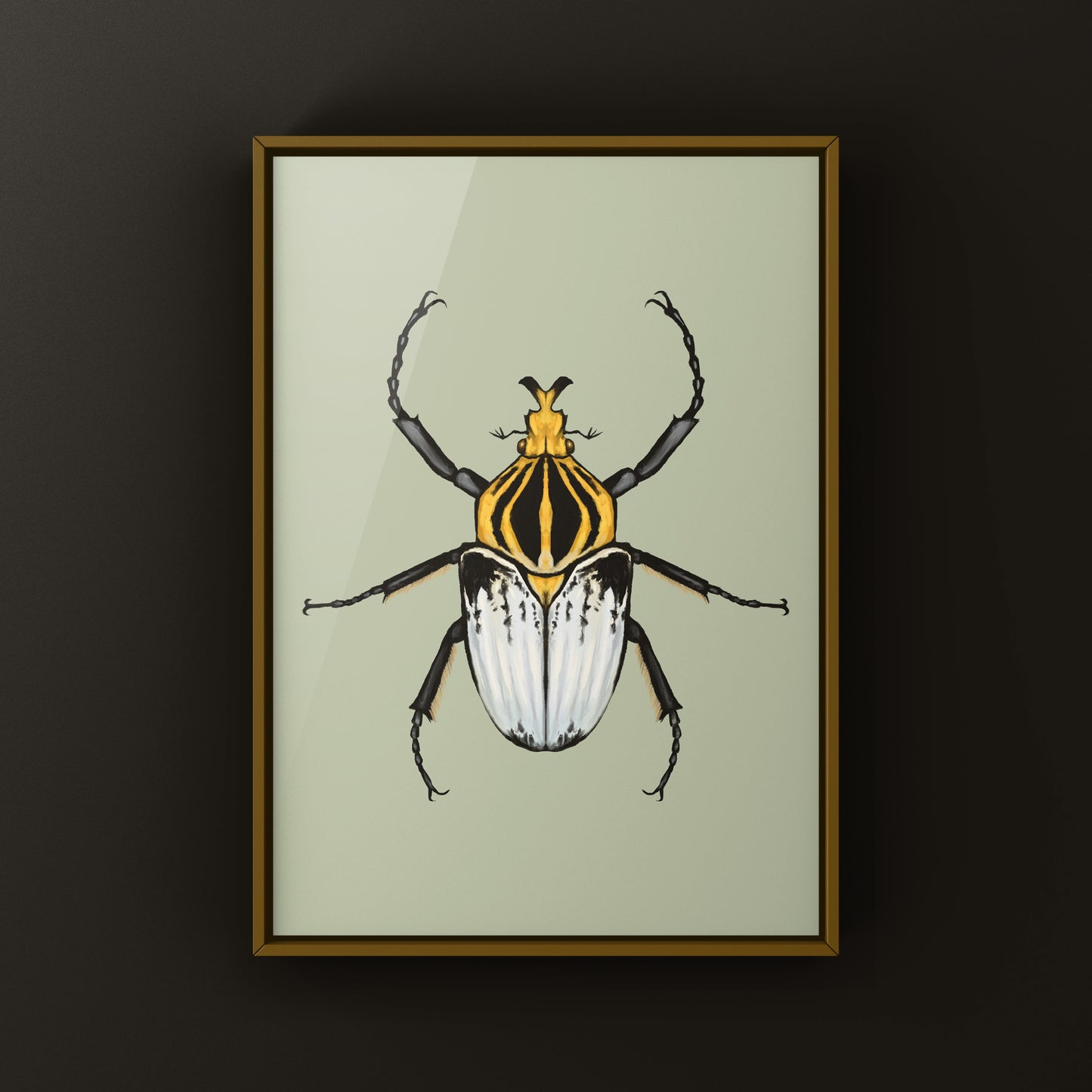 Chief Goliath Beetle Art Print (Goliathus cacicus) from The Silk Ranch