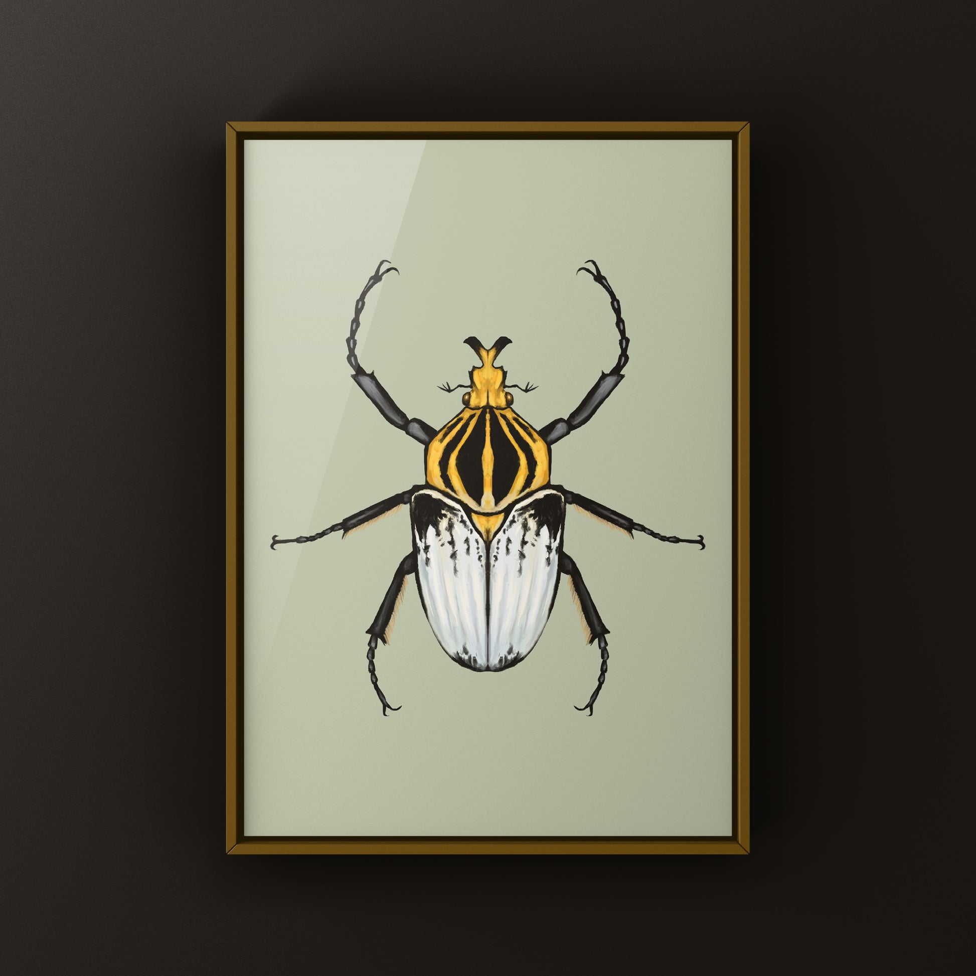 Chief Goliath Beetle Art Print (Goliathus cacicus) from The Silk Ranch