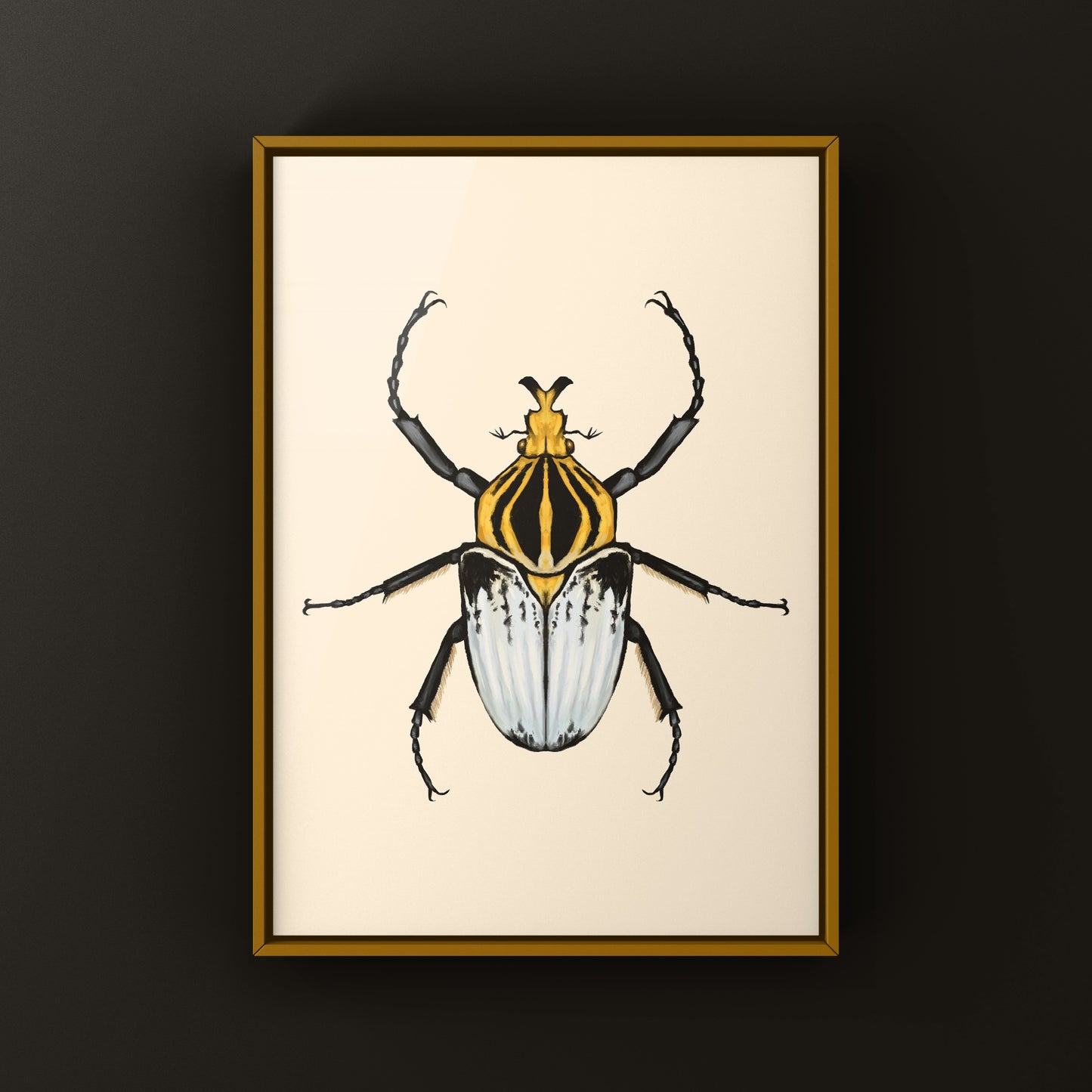 Chief Goliath Beetle Art Print (Goliathus cacicus) from The Silk Ranch