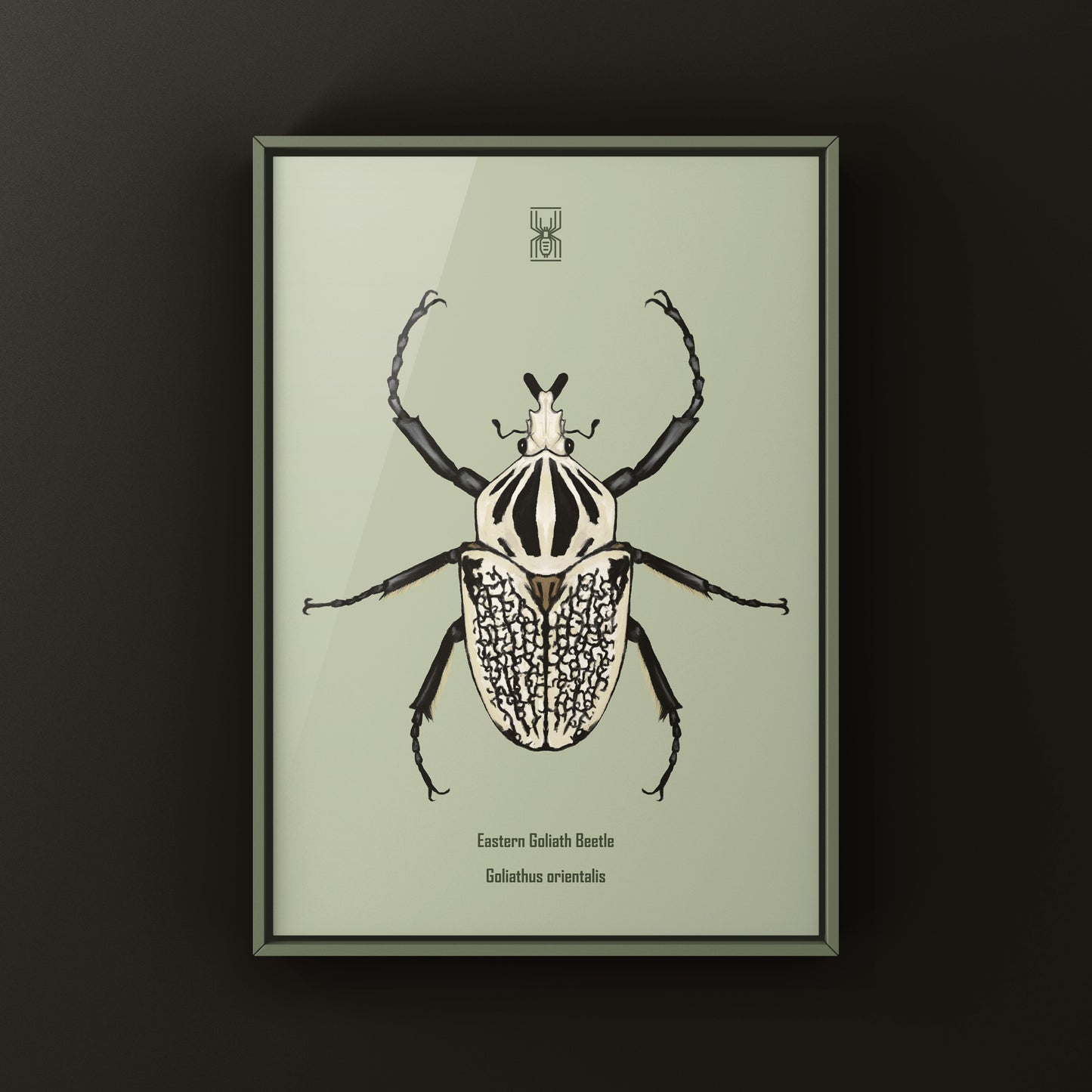Eastern Goliath Beetle Art Print (Goliathus orientalis) from The Silk Ranch