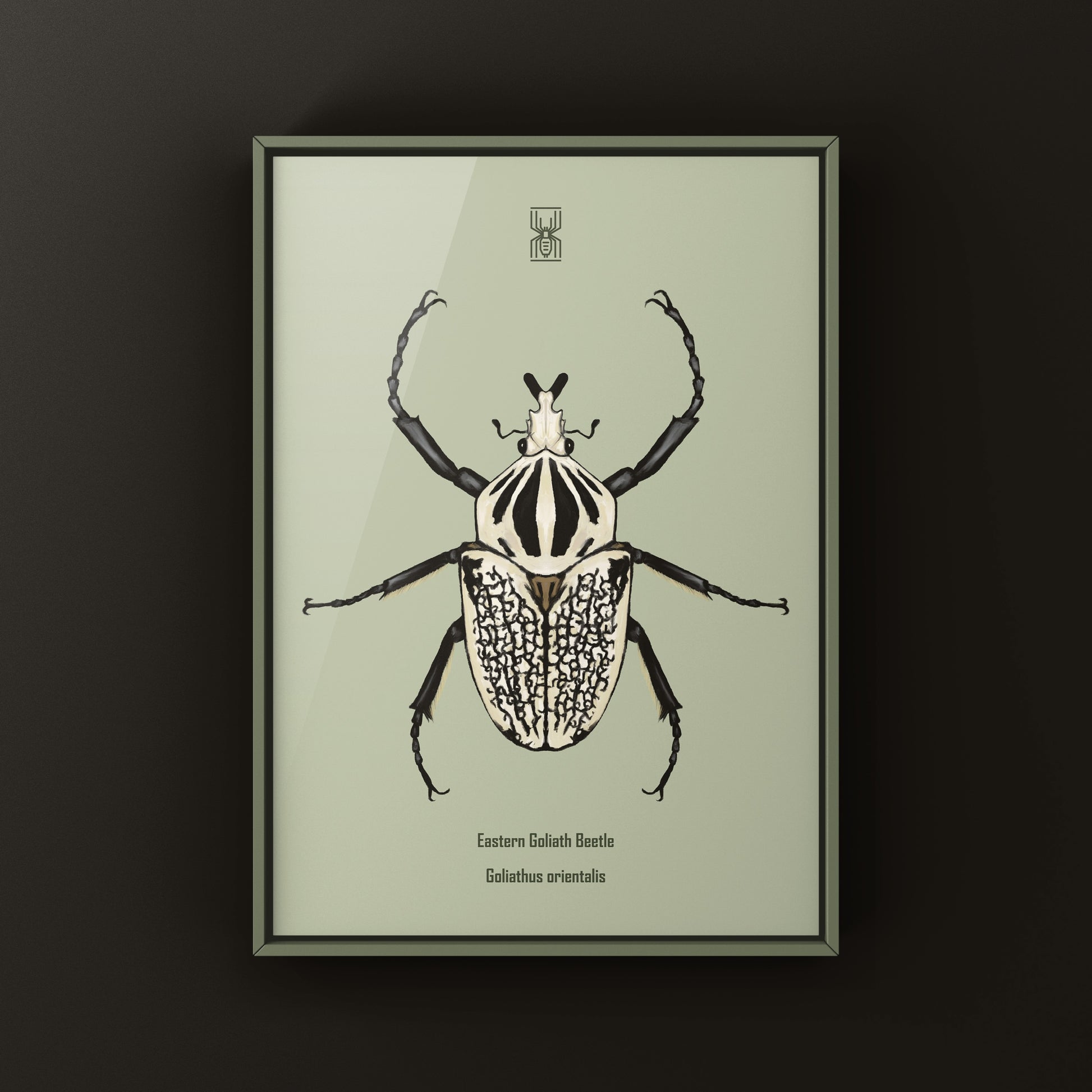 Eastern Goliath Beetle Art Print (Goliathus orientalis) from The Silk Ranch