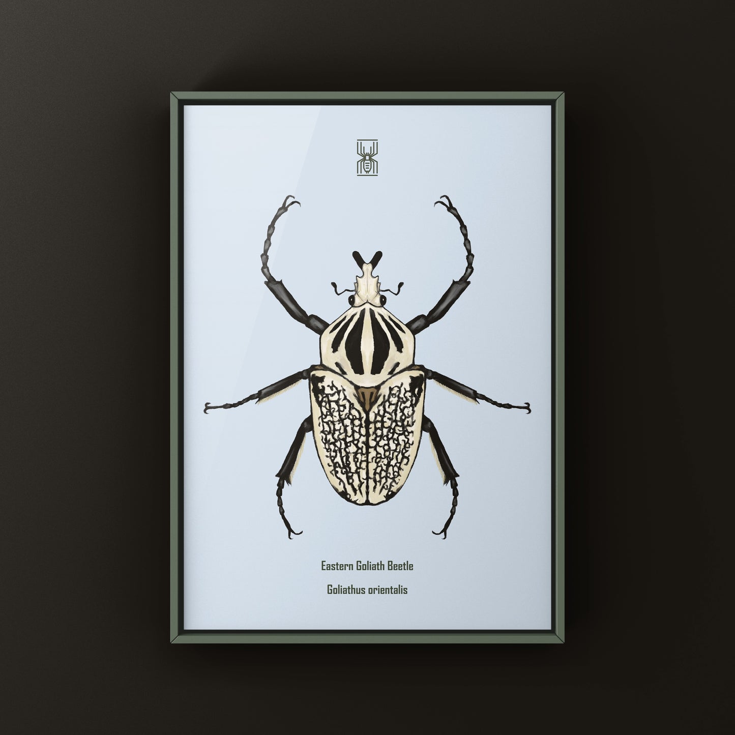 Eastern Goliath Beetle Art Print (Goliathus orientalis) from The Silk Ranch