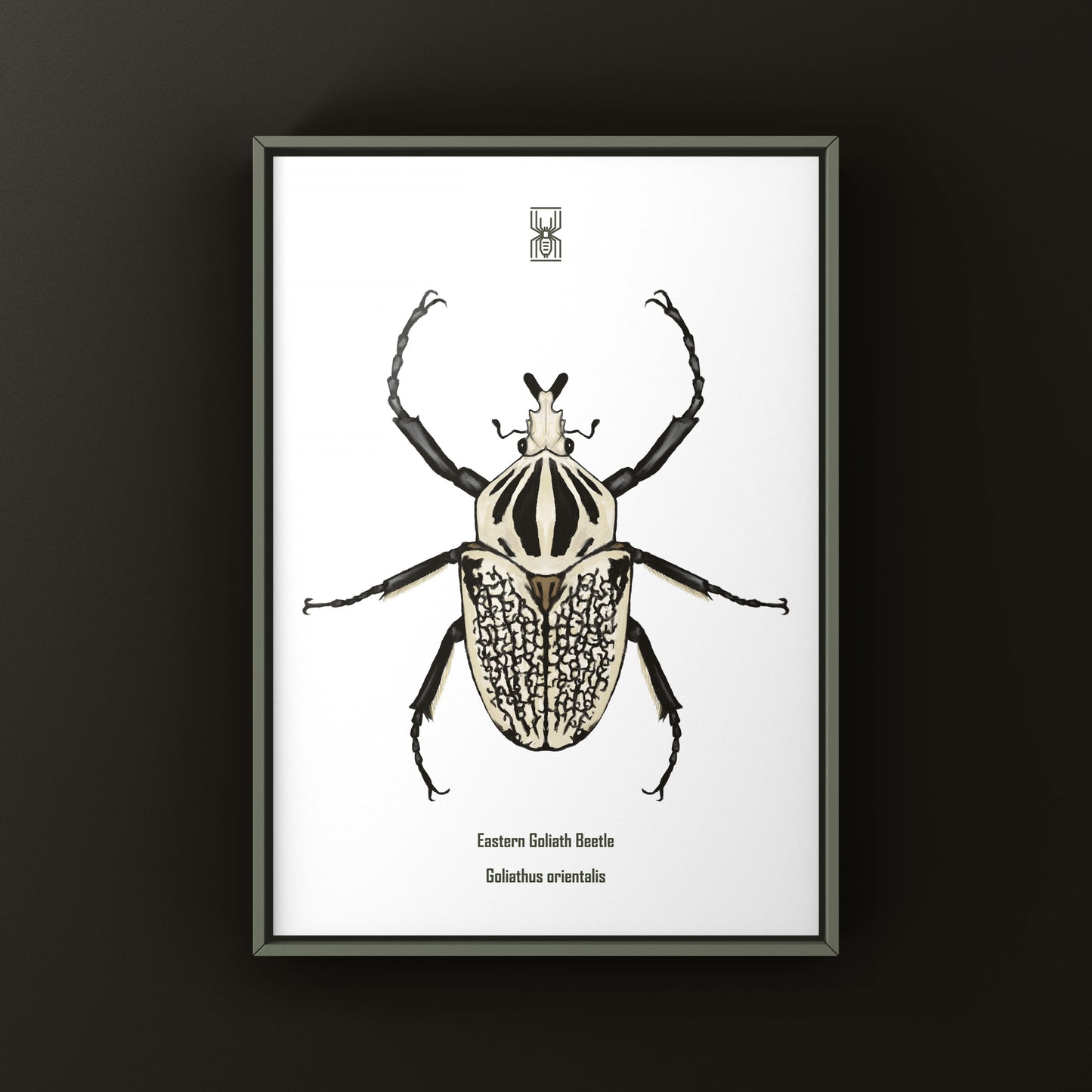 Eastern Goliath Beetle Art Print (Goliathus orientalis) from The Silk Ranch