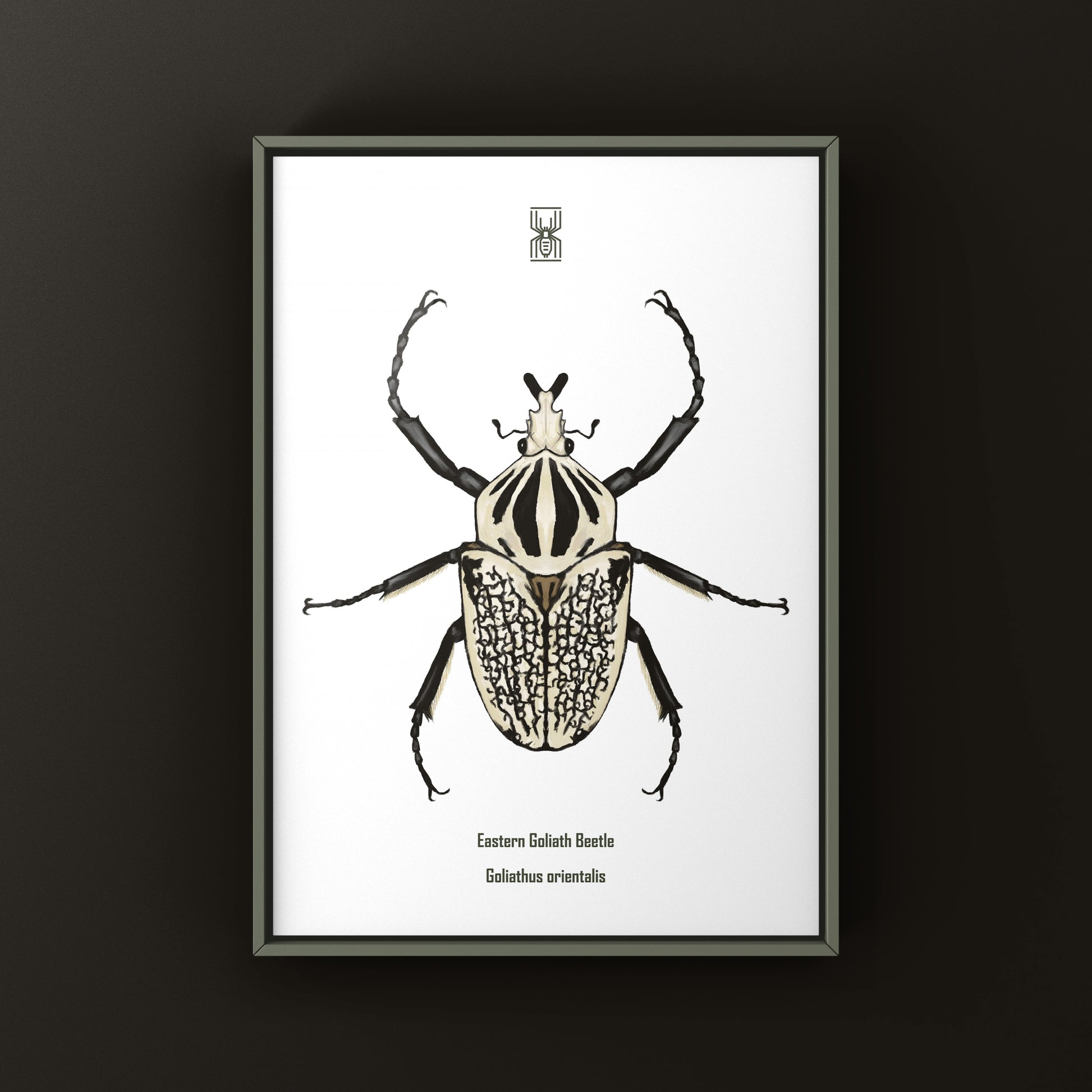 Eastern Goliath Beetle Art Print (Goliathus orientalis) from The Silk Ranch