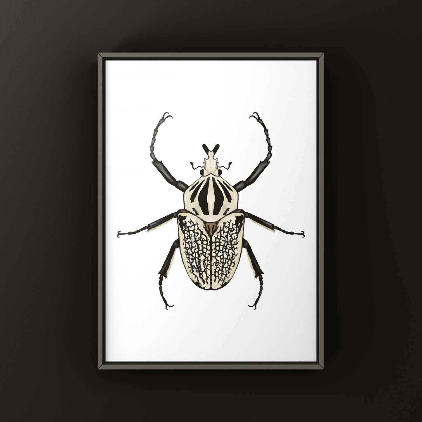 Eastern Goliath Beetle Art Print (Goliathus orientalis) from The Silk Ranch
