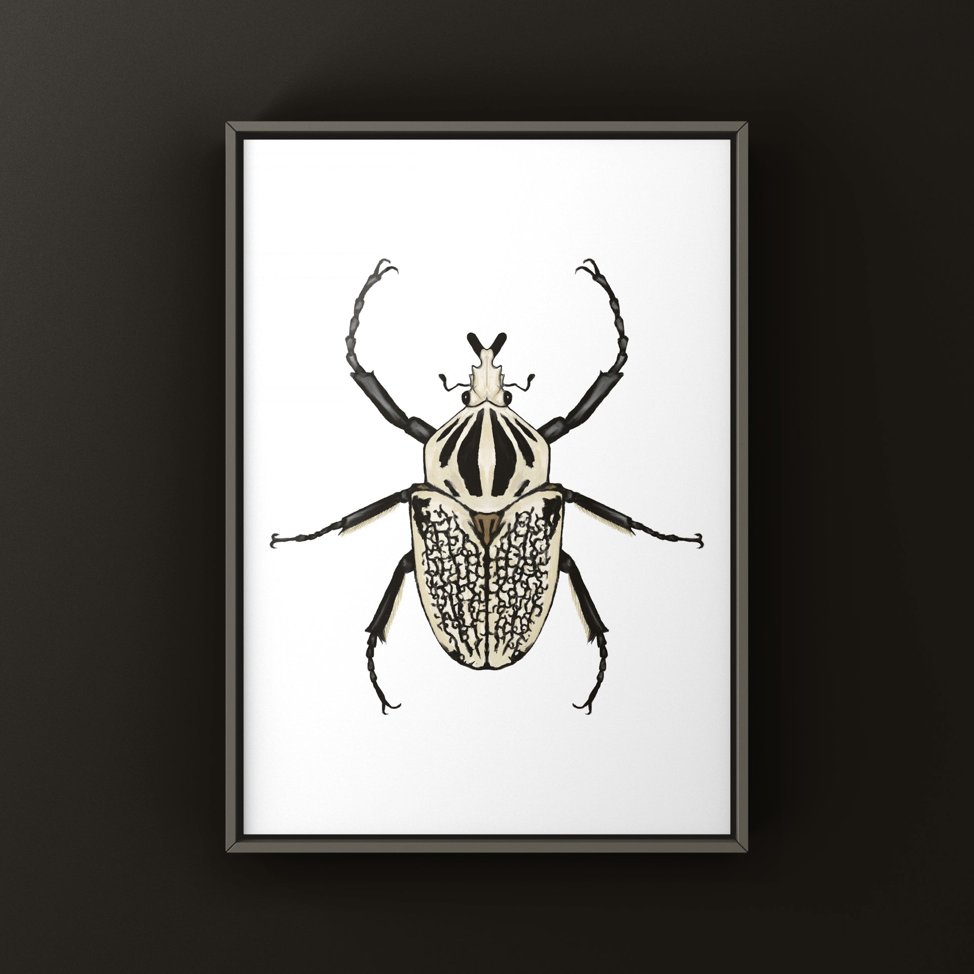 Eastern Goliath Beetle Art Print (Goliathus orientalis) from The Silk Ranch