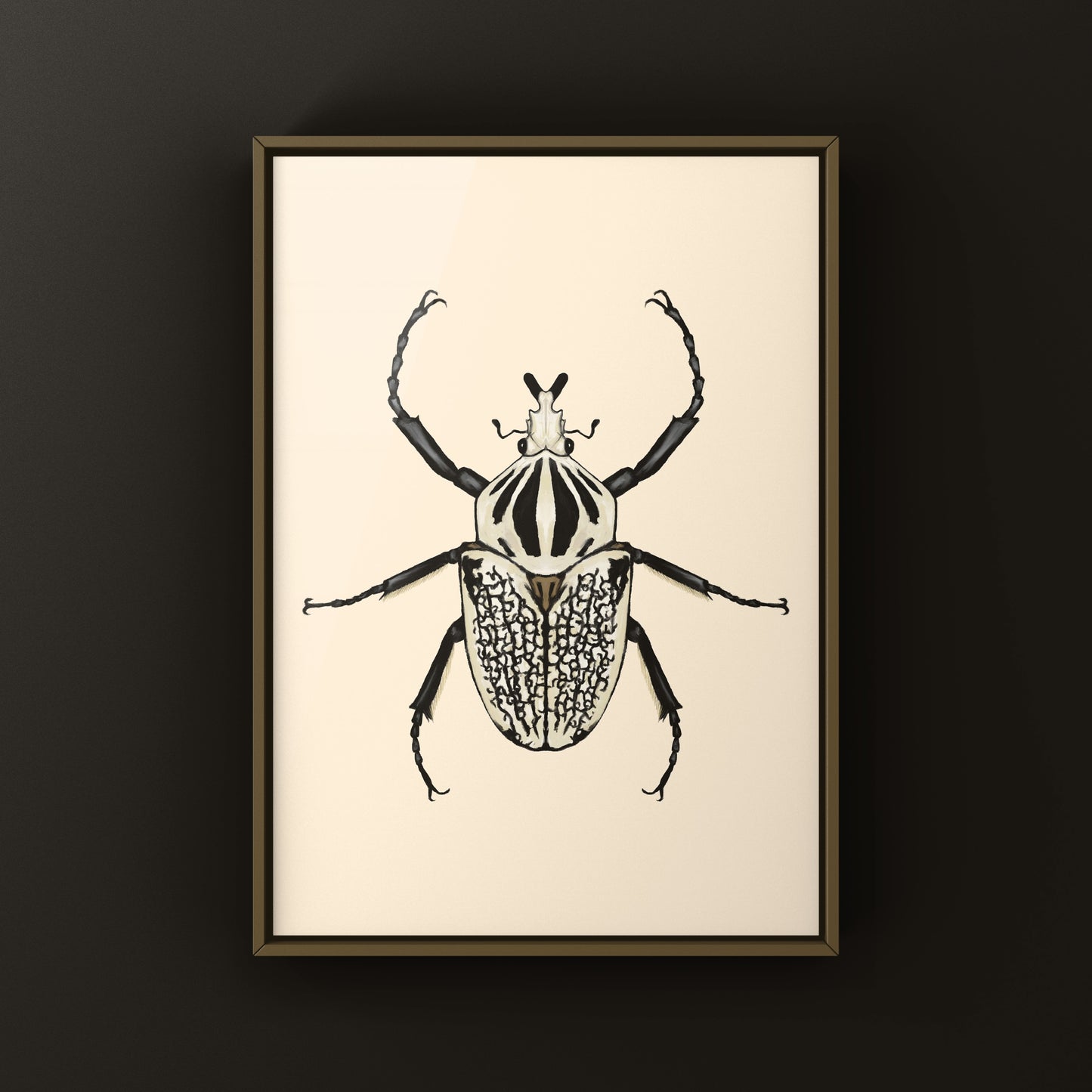 Eastern Goliath Beetle Art Print (Goliathus orientalis) from The Silk Ranch