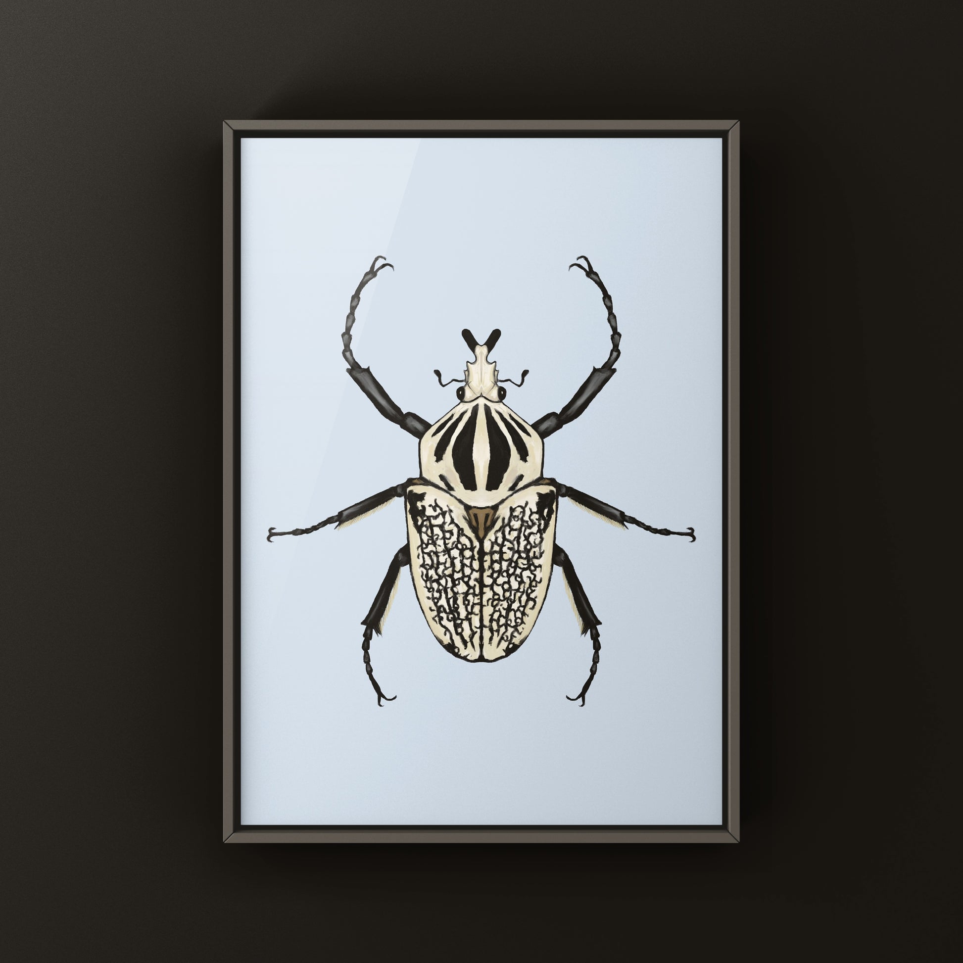 Eastern Goliath Beetle Art Print (Goliathus orientalis) from The Silk Ranch