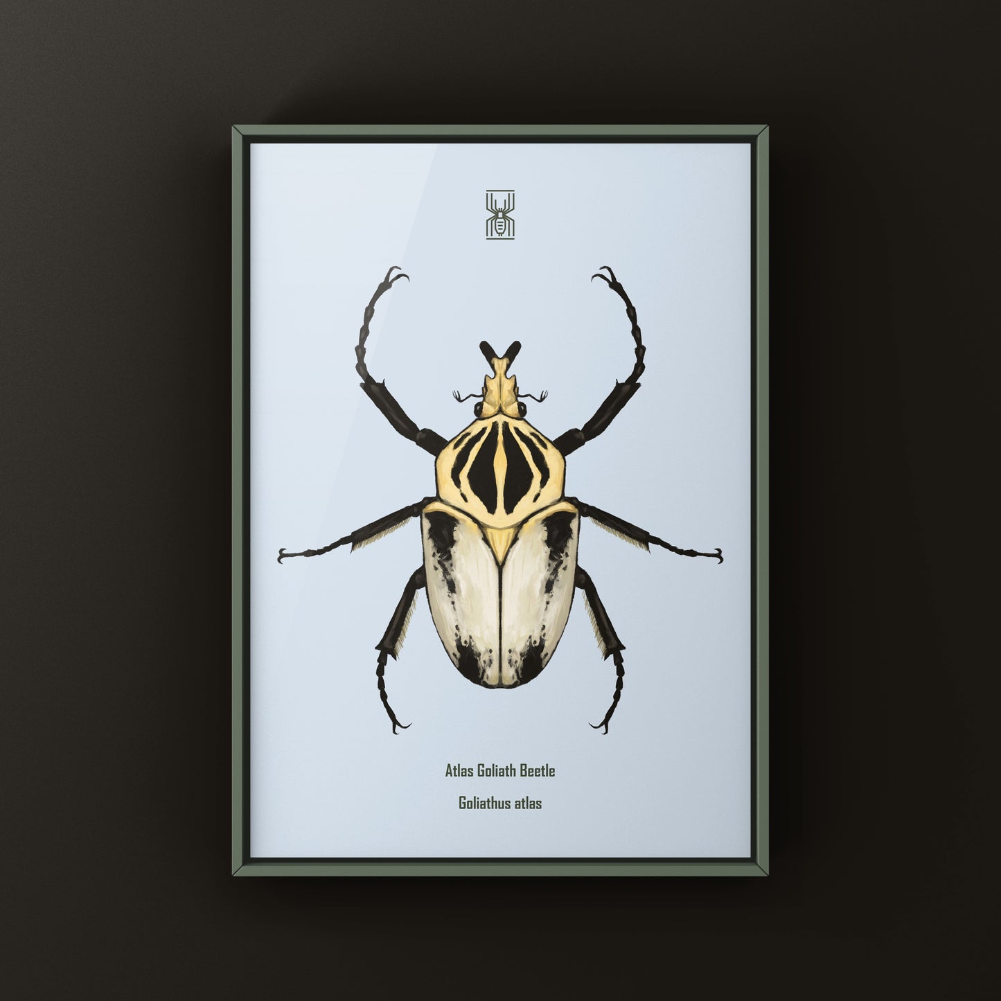 Atlas Goliath Beetle Art Print (Goliathus atlas) from The Silk Ranch