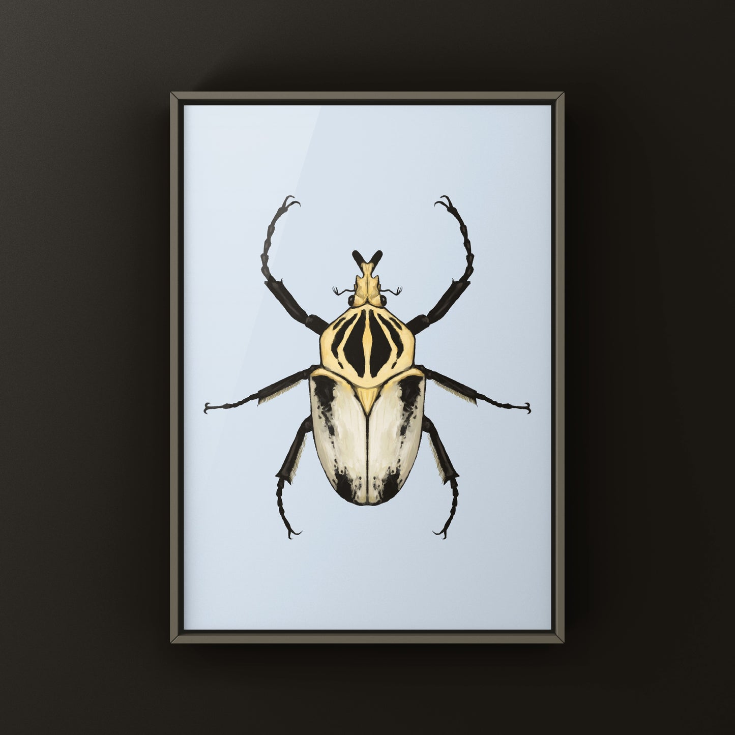 Atlas Goliath Beetle Art Print (Goliathus atlas) from The Silk Ranch