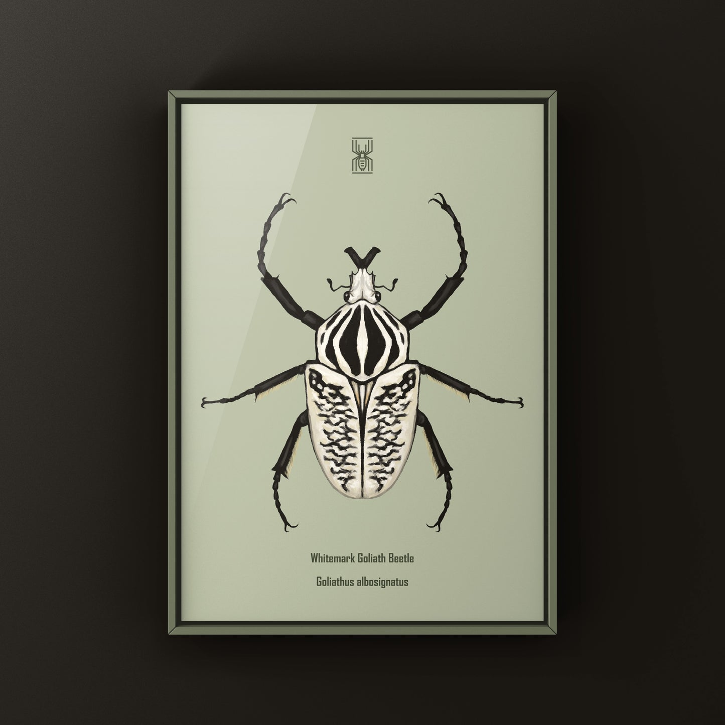 Whitemark Goliath Beetle Art Print (Goliathus albosignatus) from The Silk Ranch