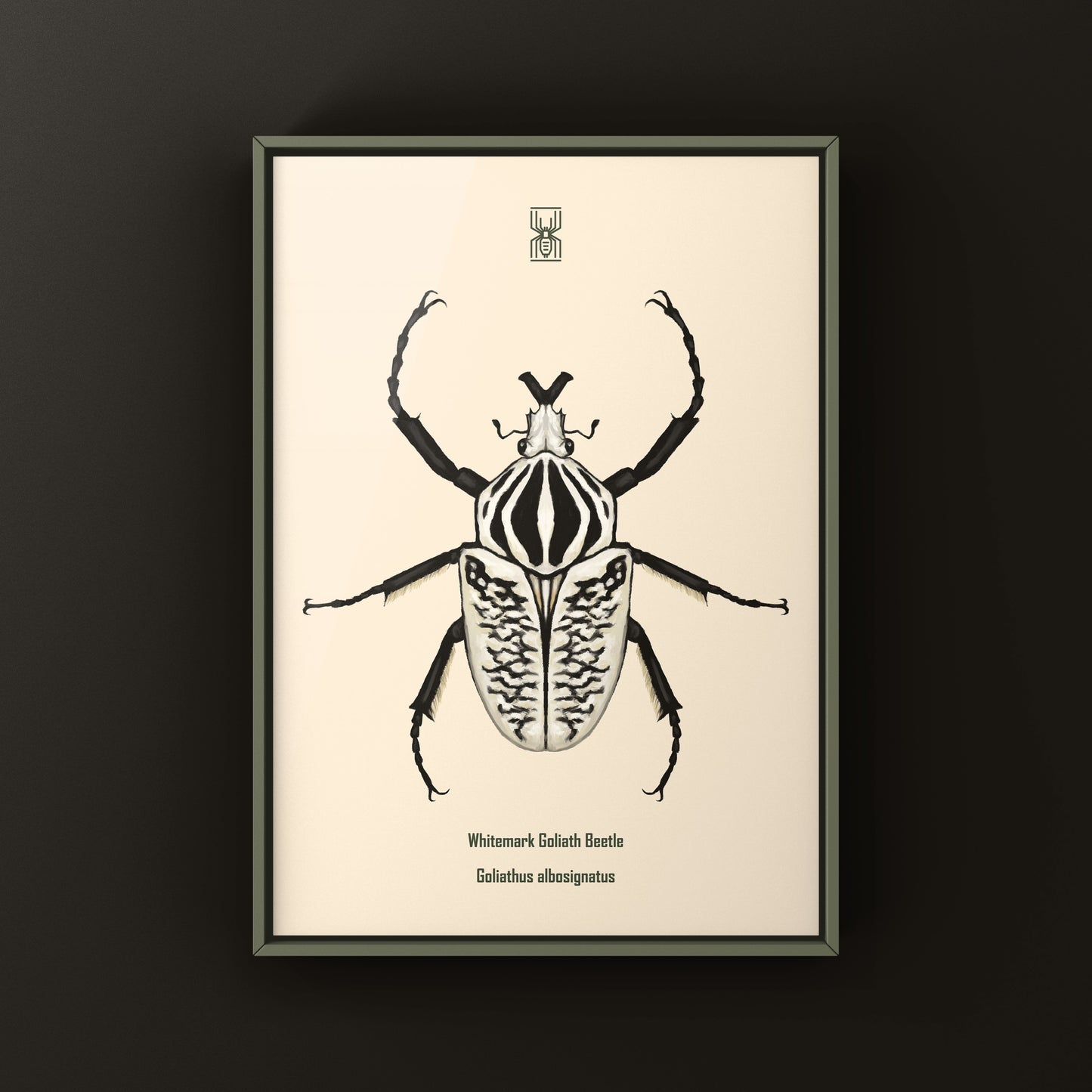 Whitemark Goliath Beetle Art Print (Goliathus albosignatus) from The Silk Ranch
