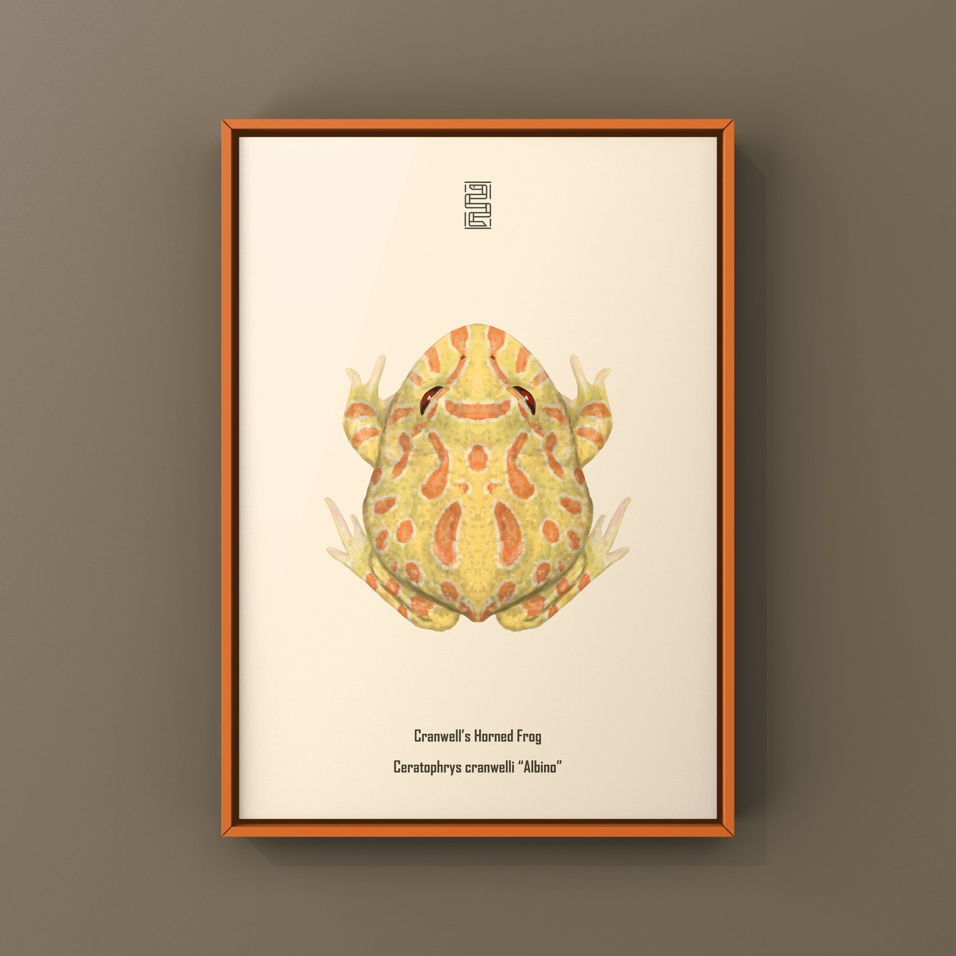 Albino Pacman Frog Art Print (Ceratophrys cranwelli) from The Silk Ranch