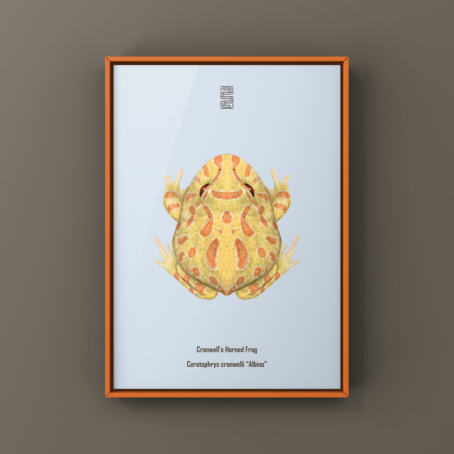Albino Pacman Frog Art Print (Ceratophrys cranwelli) from The Silk Ranch