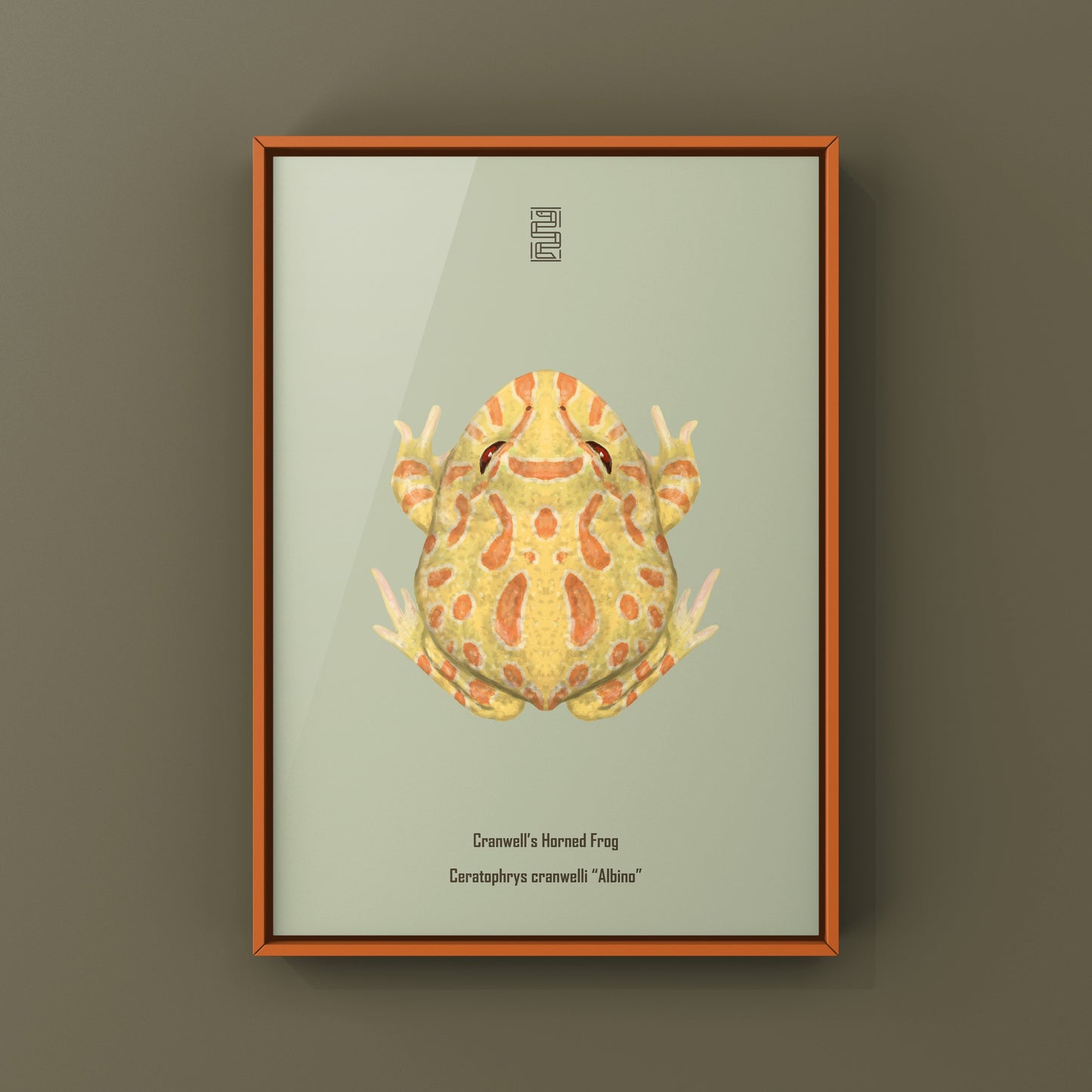 Albino Pacman Frog Art Print (Ceratophrys cranwelli) from The Silk Ranch