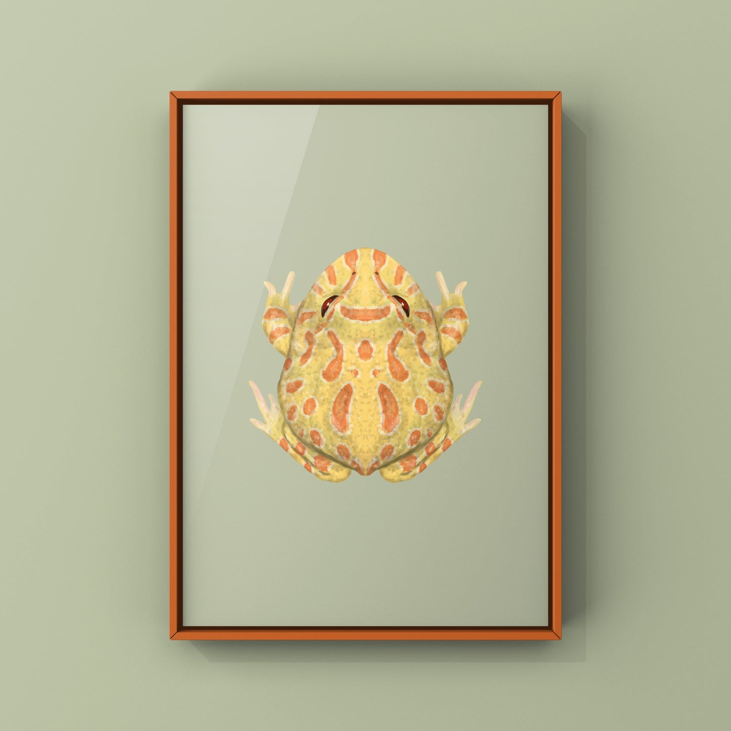Albino Pacman Frog Art Print (Ceratophrys cranwelli) from The Silk Ranch