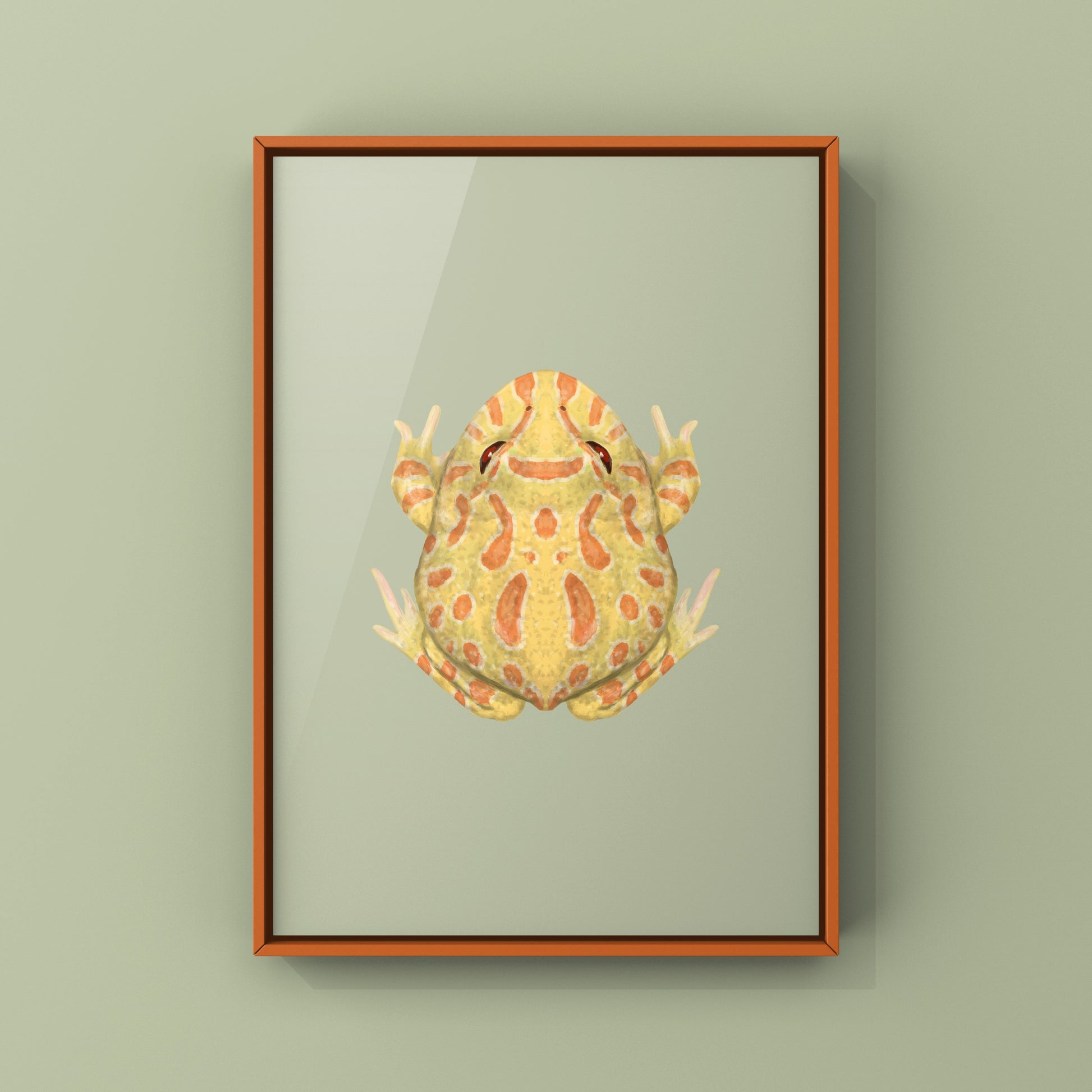 Albino Pacman Frog Art Print (Ceratophrys cranwelli) from The Silk Ranch