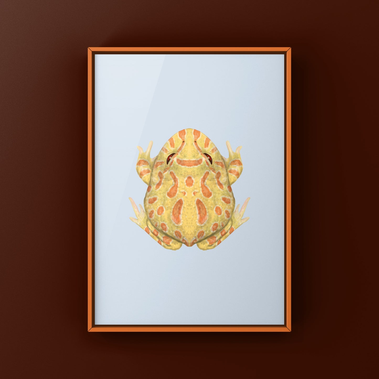 Albino Pacman Frog Art Print (Ceratophrys cranwelli) from The Silk Ranch