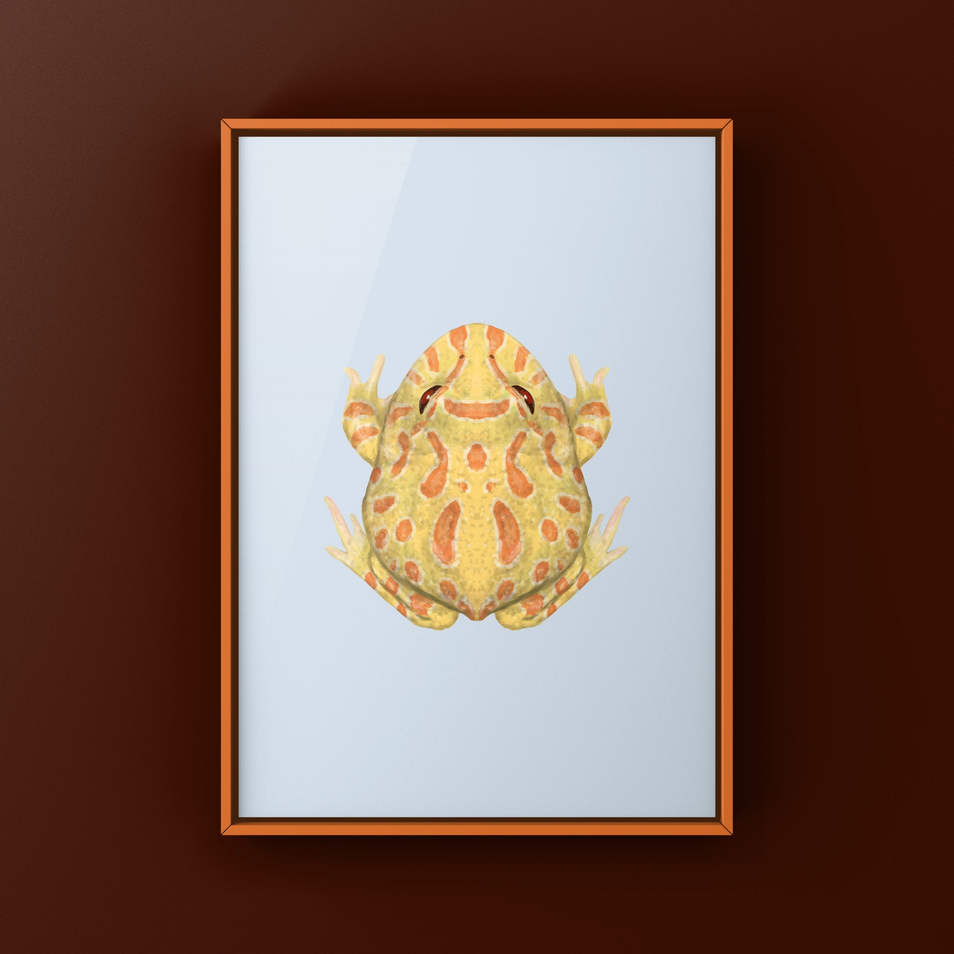 Albino Pacman Frog Art Print (Ceratophrys cranwelli) from The Silk Ranch