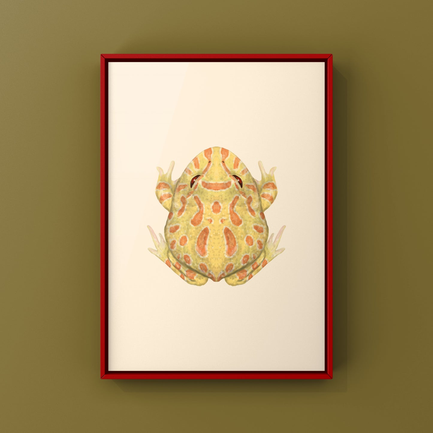 Albino Pacman Frog Art Print (Ceratophrys cranwelli) from The Silk Ranch