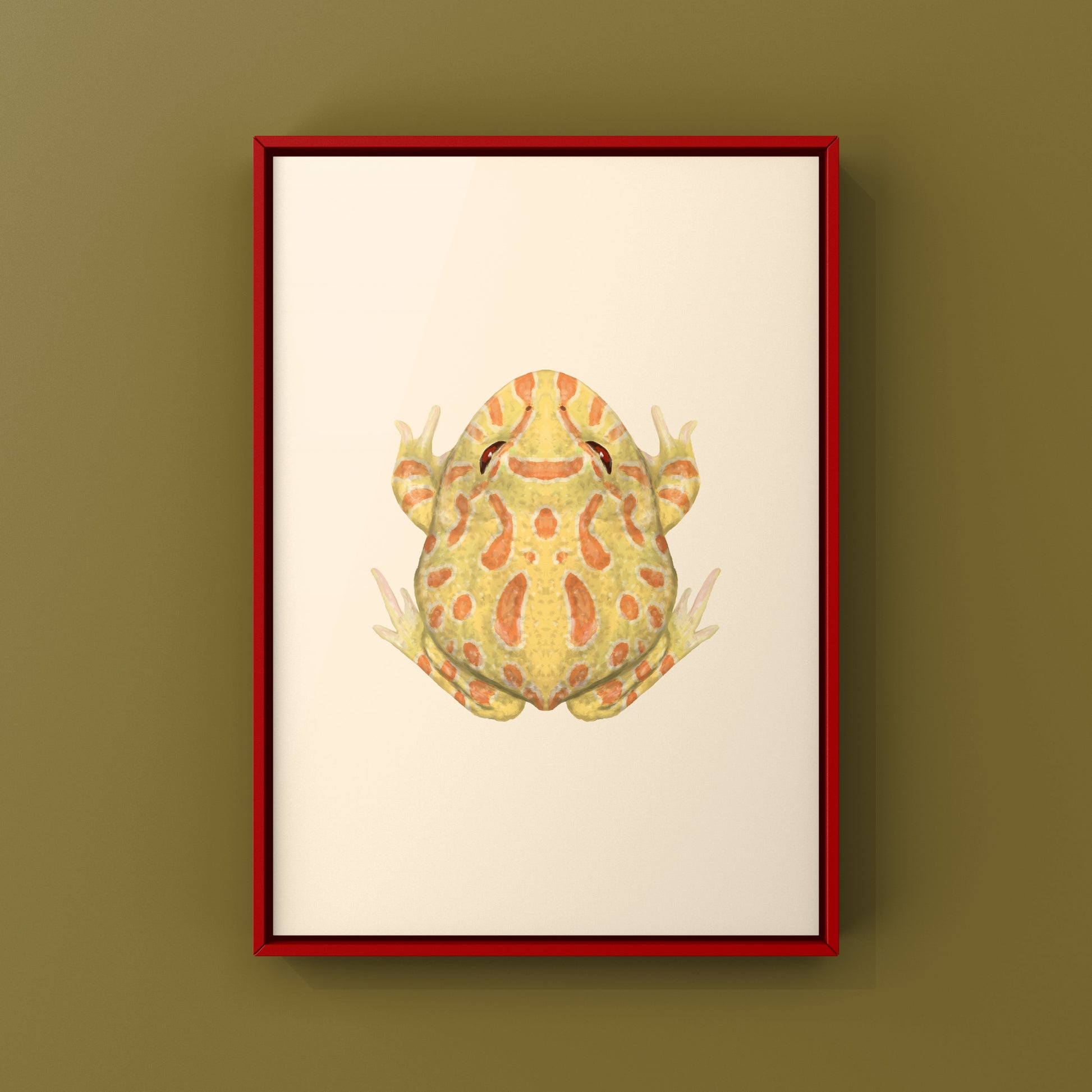 Albino Pacman Frog Art Print (Ceratophrys cranwelli) from The Silk Ranch